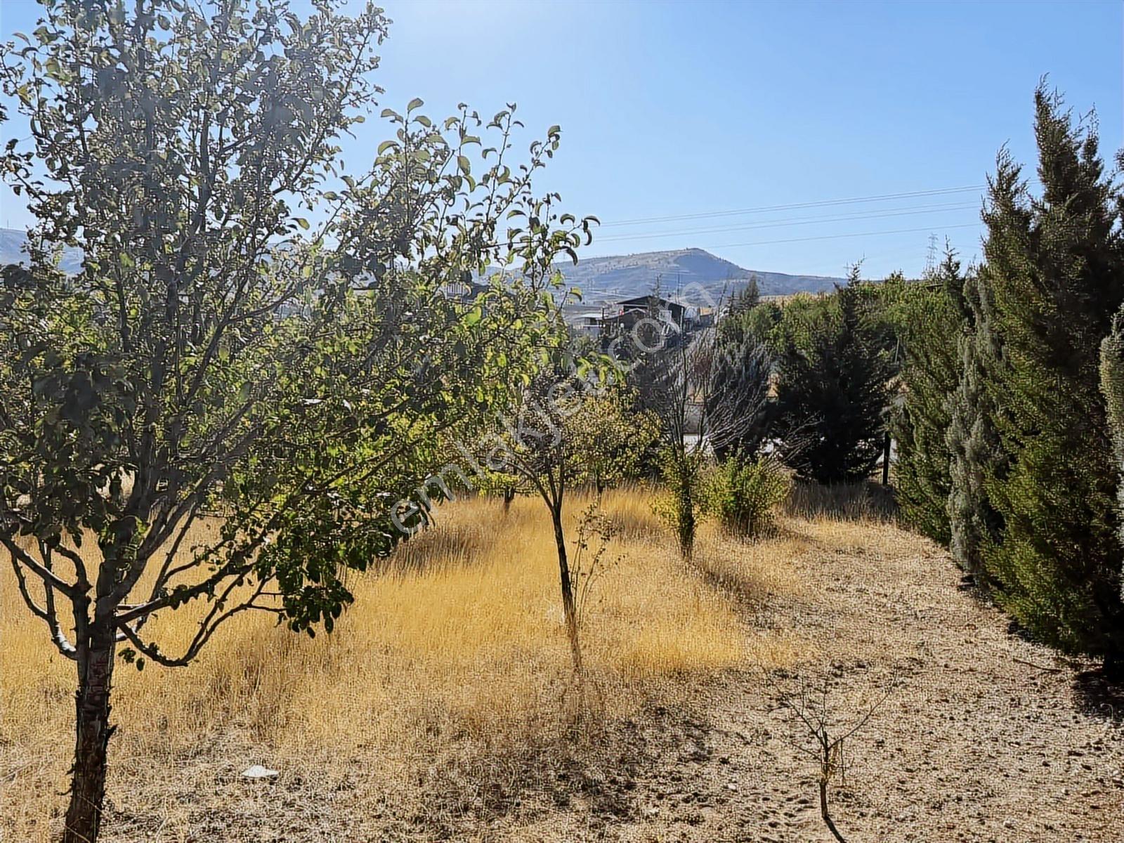 Müstakil Evli 770 M İmarlı Arsa Elektrik Su Var - Görsel 3
