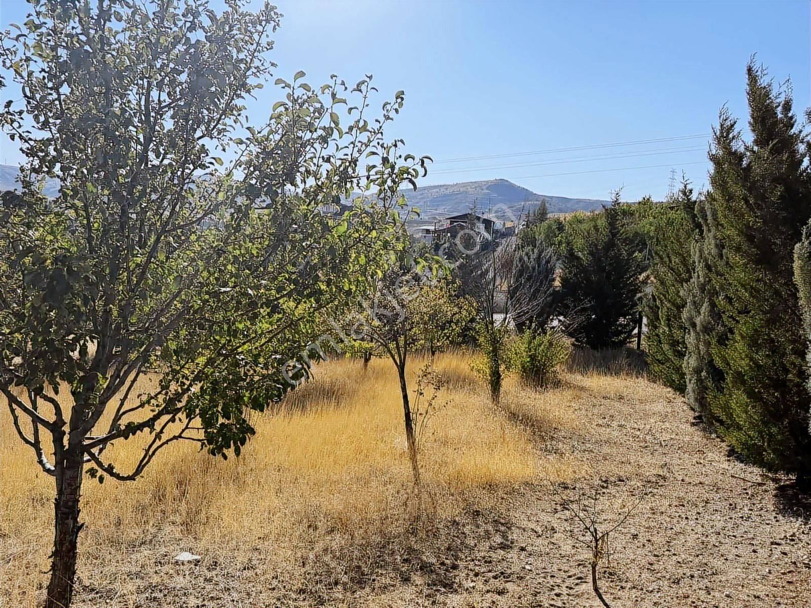 Müstakil Evli 770 M İmarlı Arsa Elektrik Su Var - Görsel 7