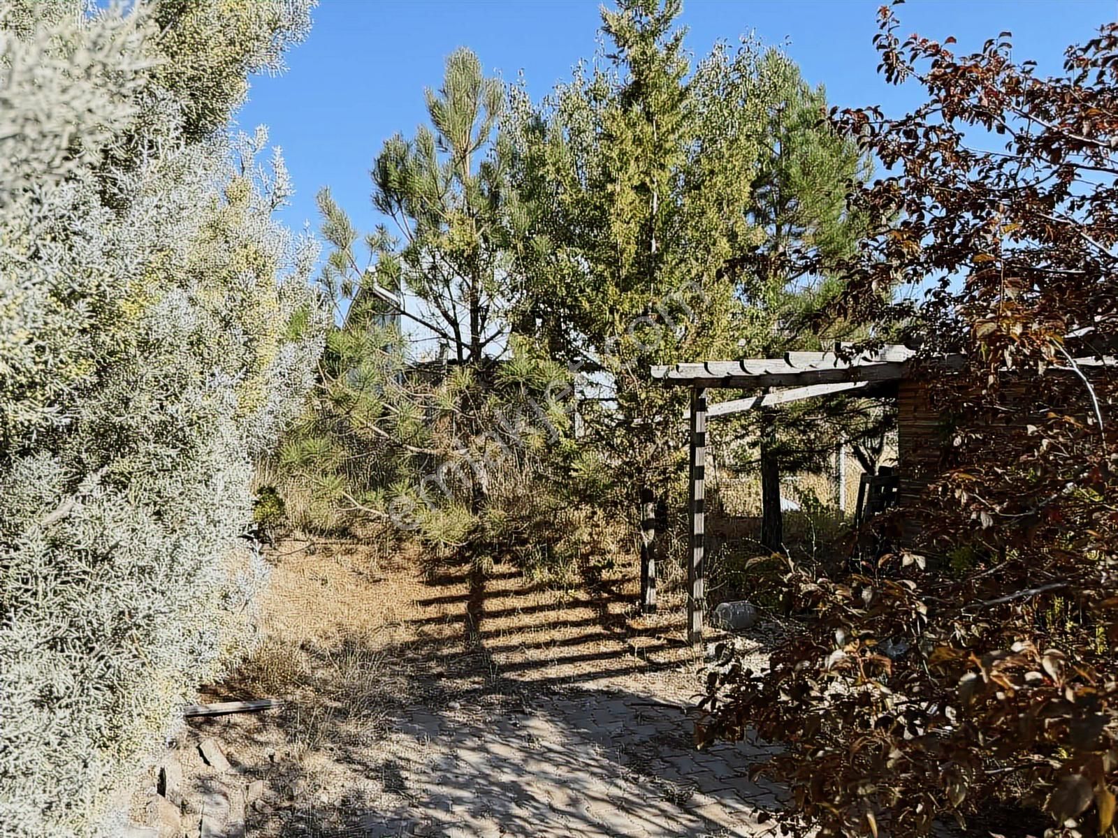 Müstakil Evli 770 M İmarlı Arsa Elektrik Su Var - Görsel 8