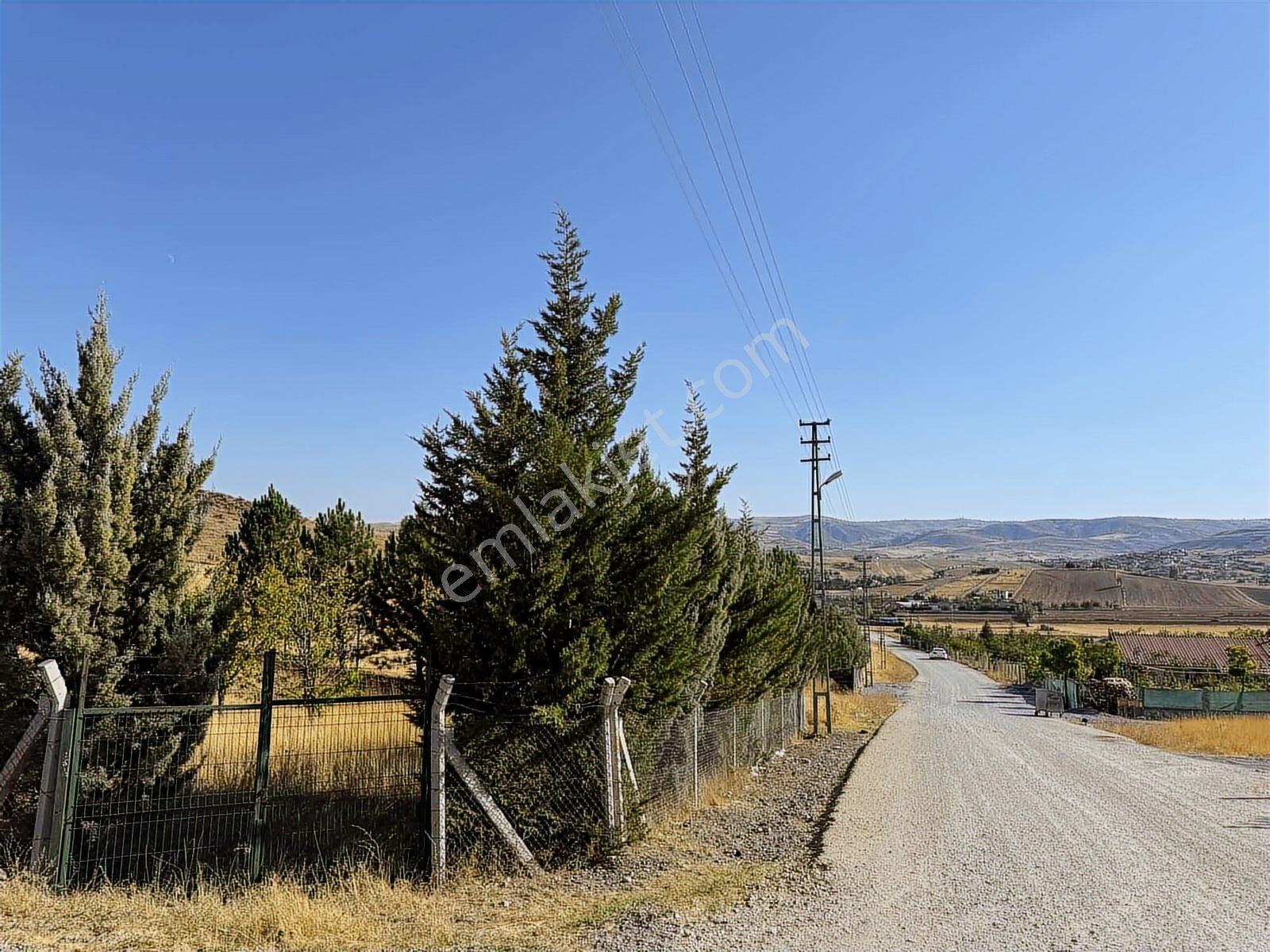 Müstakil Evli 770 M İmarlı Arsa Elektrik Su Var - Görsel 25