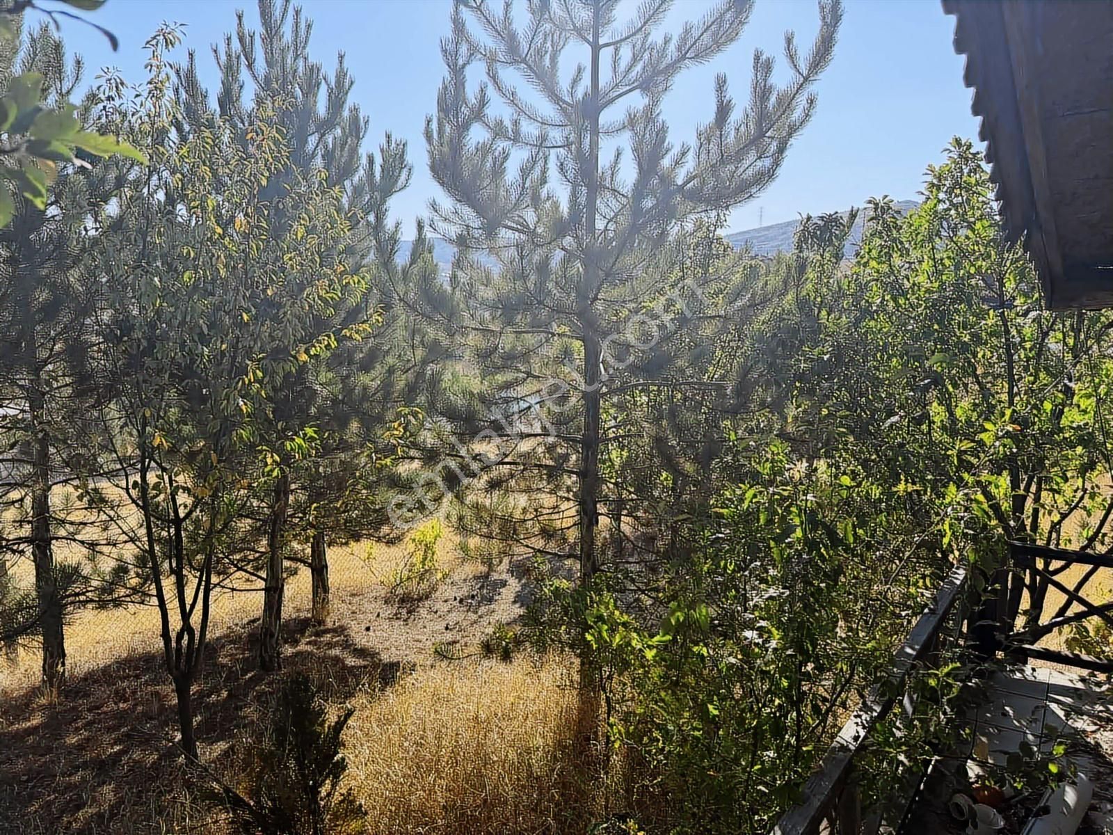 Müstakil Evli 770 M İmarlı Arsa Elektrik Su Var - Görsel 18