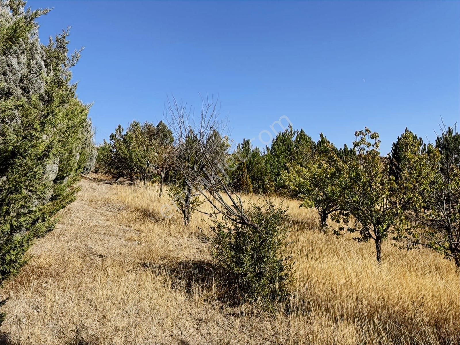 Müstakil Evli 770 M İmarlı Arsa Elektrik Su Var - Görsel 24