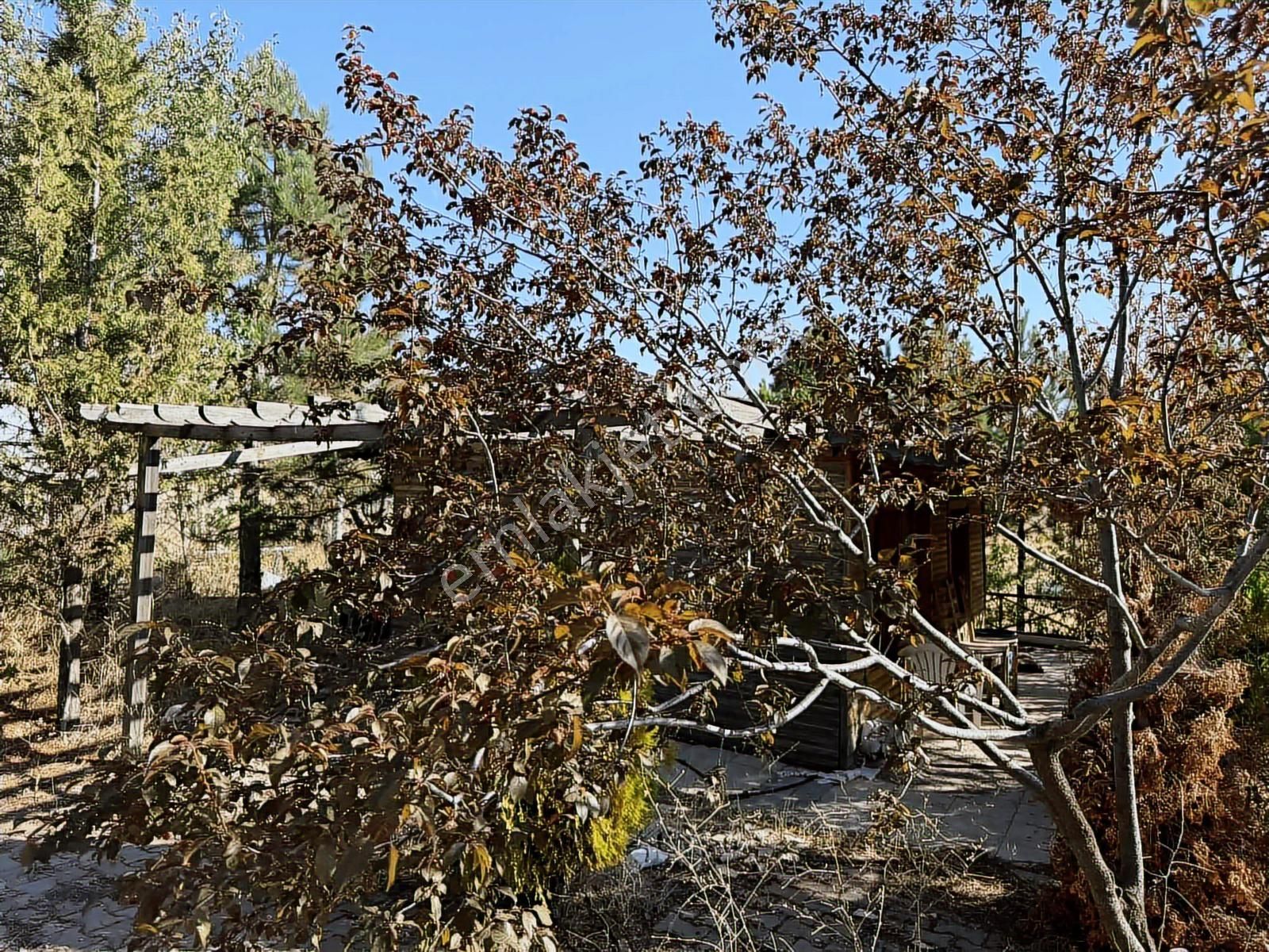 Müstakil Evli 770 M İmarlı Arsa Elektrik Su Var - Görsel 2