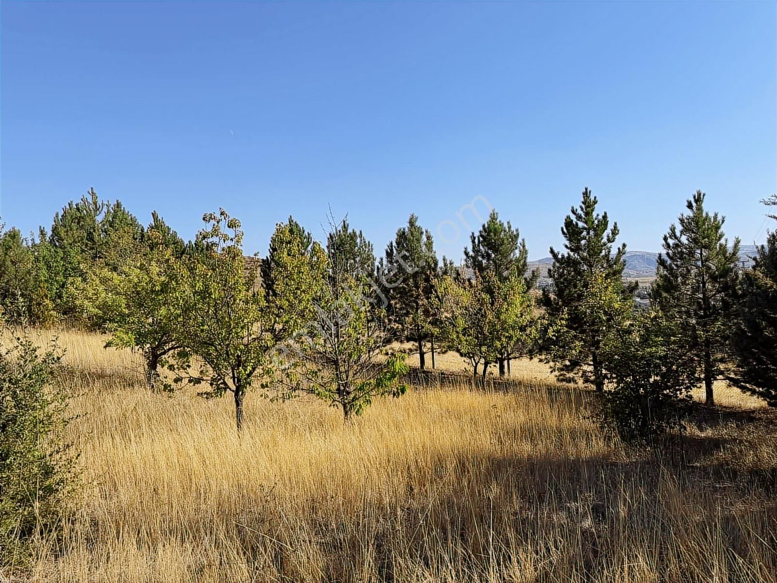 Müstakil Evli 770 M İmarlı Arsa Elektrik Su Var - Görsel 22