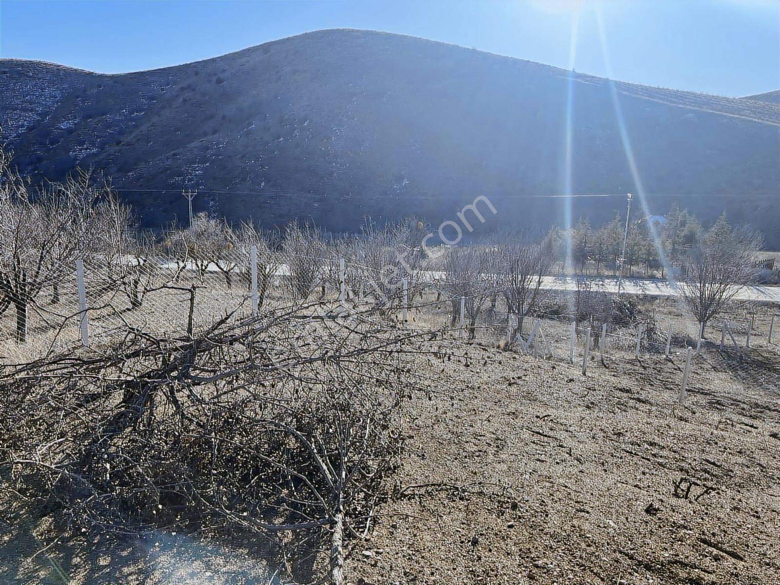 Asfalta Cephe Anayol Kenarı Tapulu 400 M2 Bahçe - Görsel 11