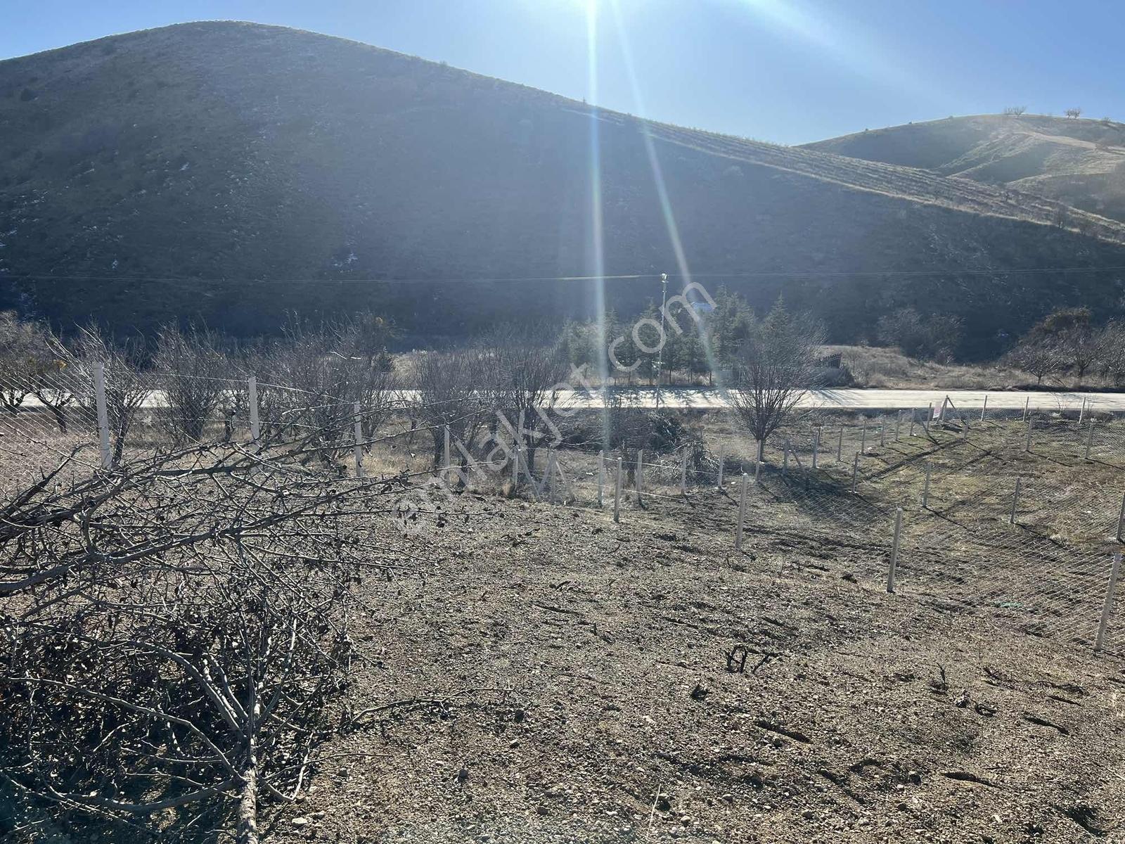 Asfalta Cephe Anayol Kenarı Tapulu 400 M2 Bahçe - Görsel 4
