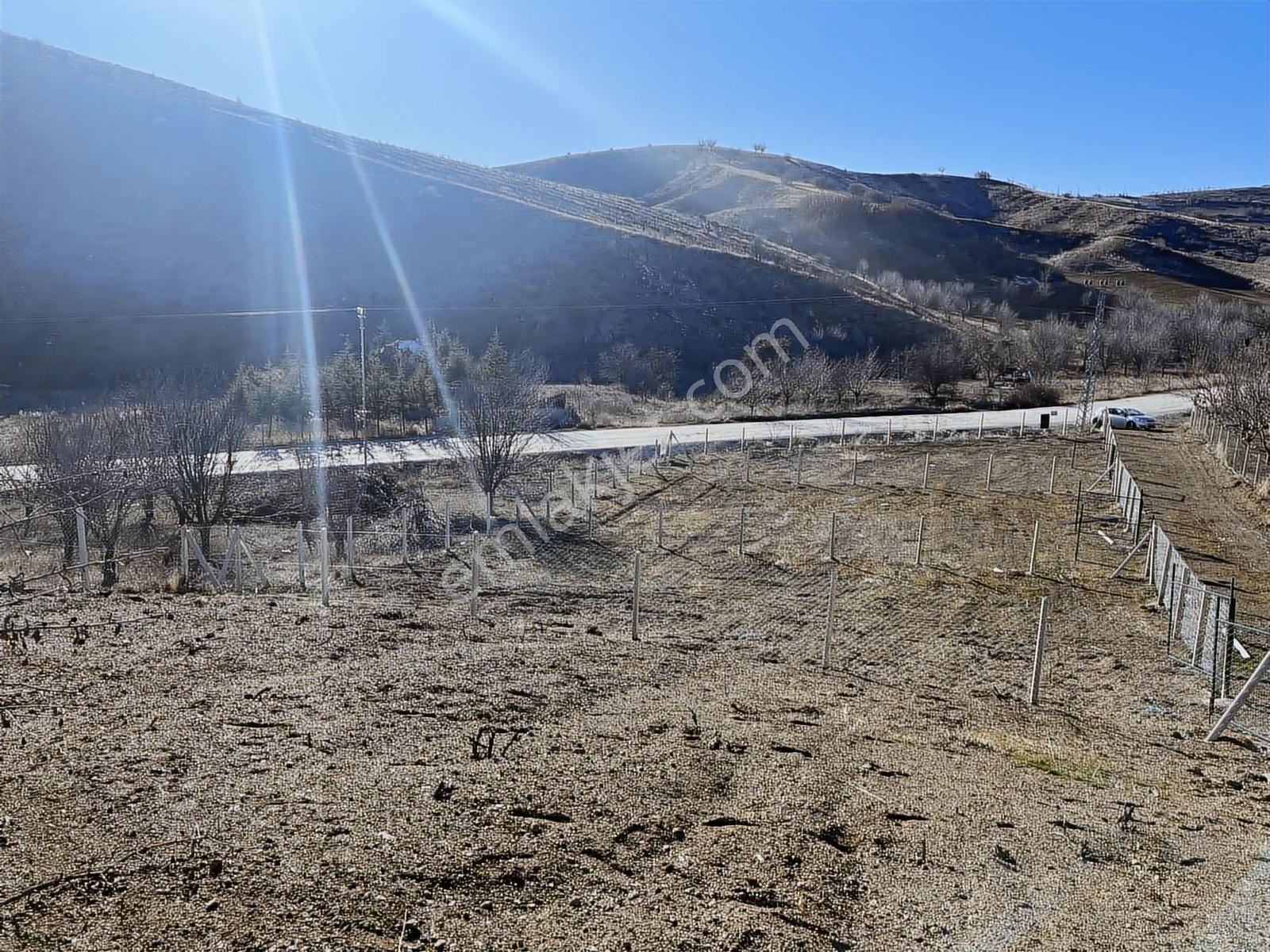 Asfalta Cephe Anayol Kenarı Tapulu 400 M2 Bahçe - Görsel 7
