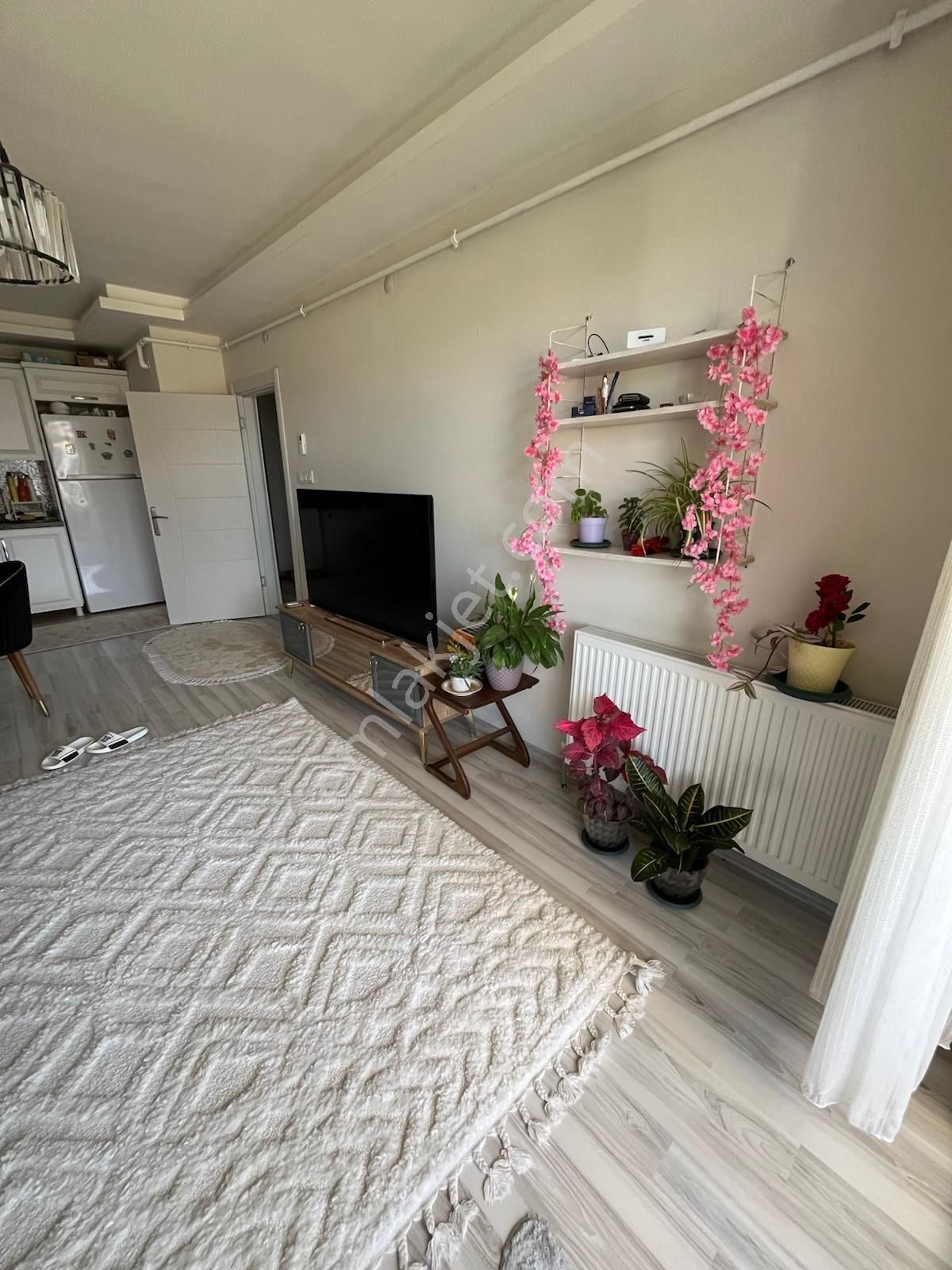 Yalova Çınarcık Teşvikiye Plajlar Mevkiinde Havuzlu Sitede Satılık Daire 1+1yeni Binada - Görsel 2