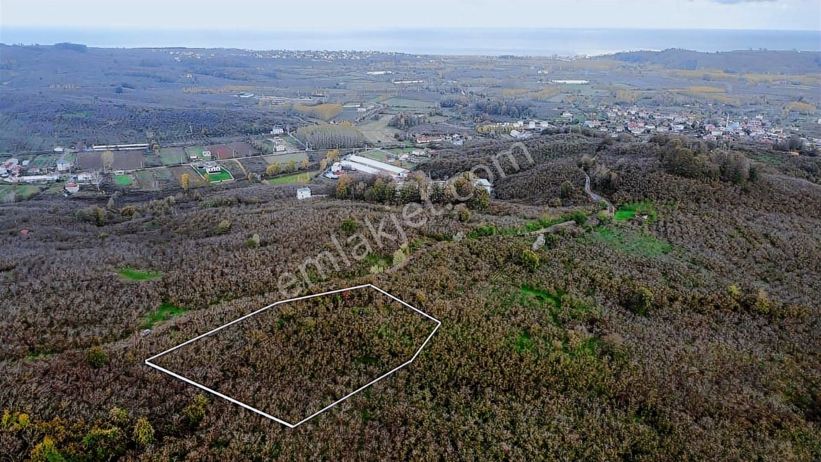 1955 M2 Deniz Manzaralı Müstakil Tapulu Fındık Bahçesi