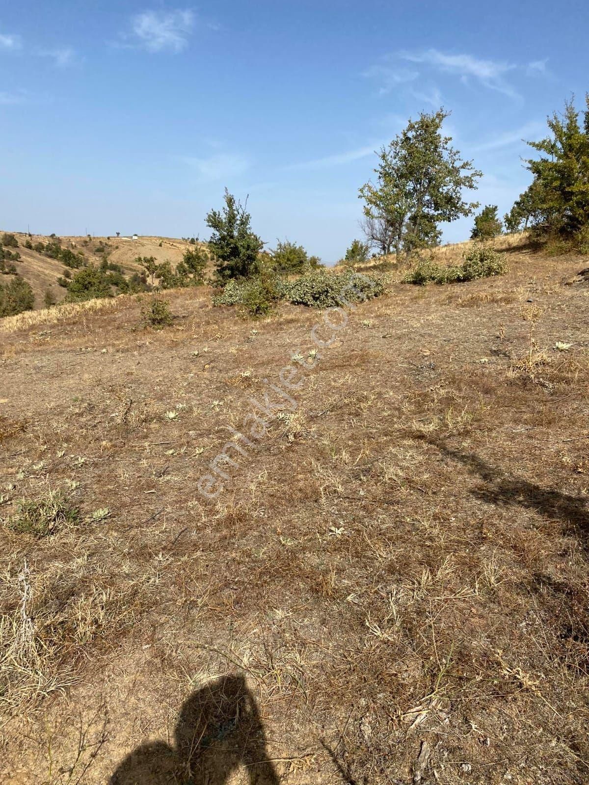 Uşak Eşme Karaahmetli Köyünde 9.800 M2 Uygun Tarla. Açıklamayı Okuyunuz. - Görsel 3