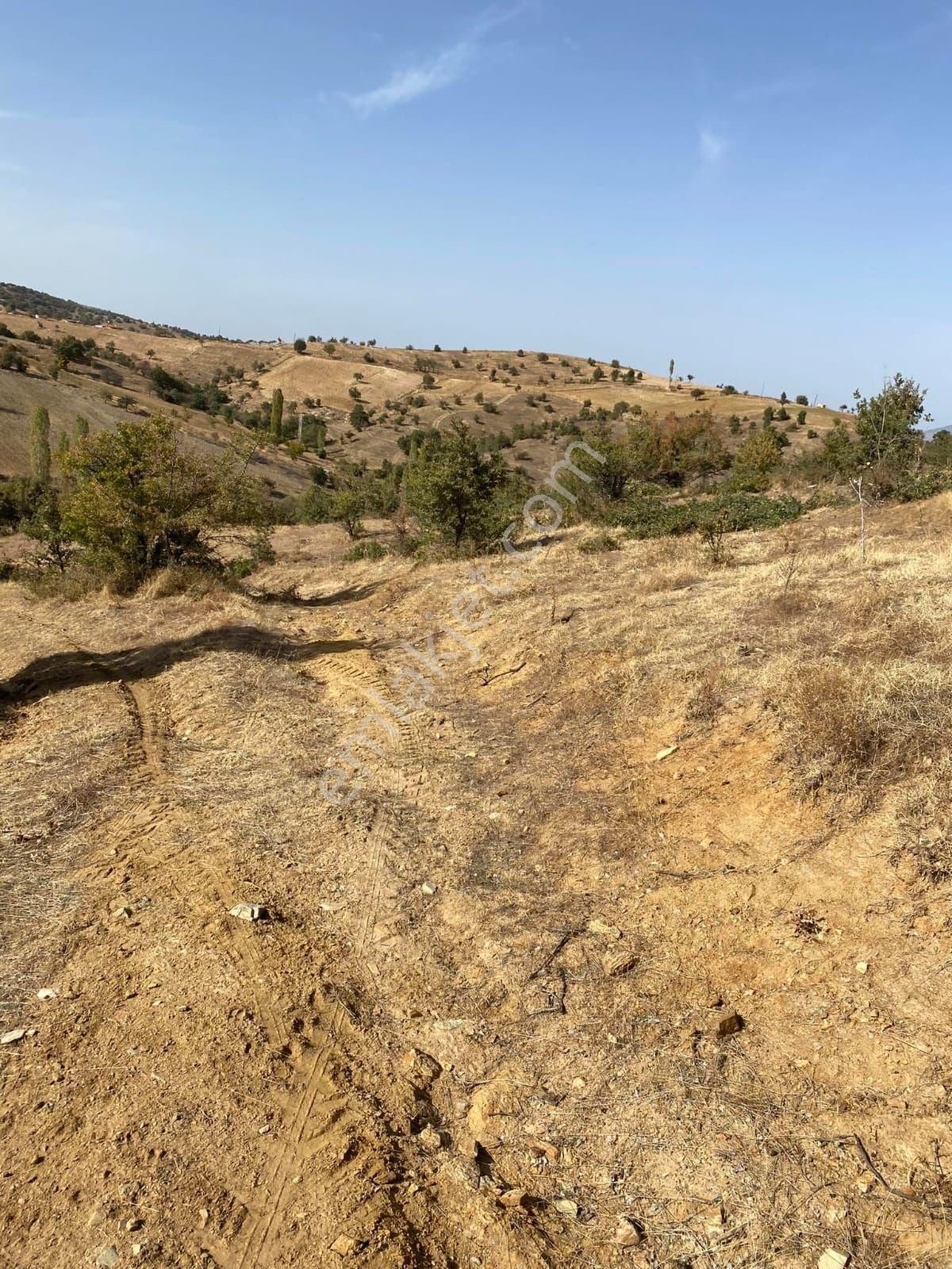 Uşak Eşme Karaahmetli Köyünde 9.800 M2 Uygun Tarla. Açıklamayı Okuyunuz.