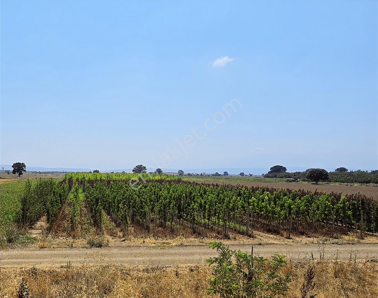 K2 Pera Bursa Yenişehir Karacali Yatırımlık Süper Tarla Tek Tapu