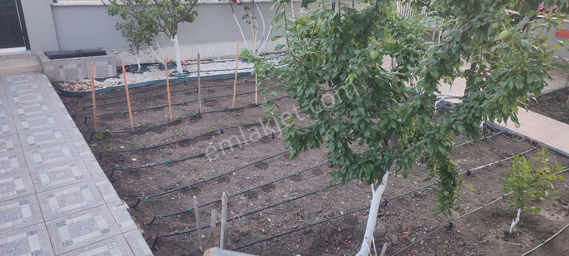 Acil Satılık Yeniçiftlikte 315 M2 Arsa İçerisinde İskanlı Müstakil Villa Yazlık - Görsel 8