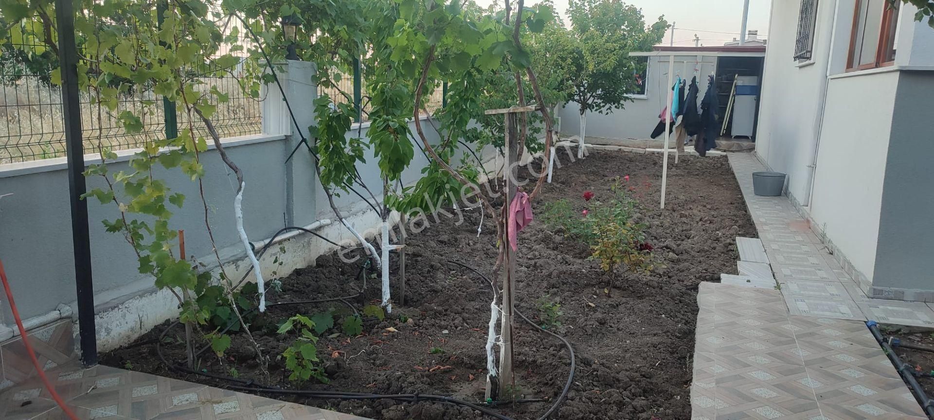 Acil Satılık Yeniçiftlikte 315 M2 Arsa İçerisinde İskanlı Müstakil Villa Yazlık - Görsel 7