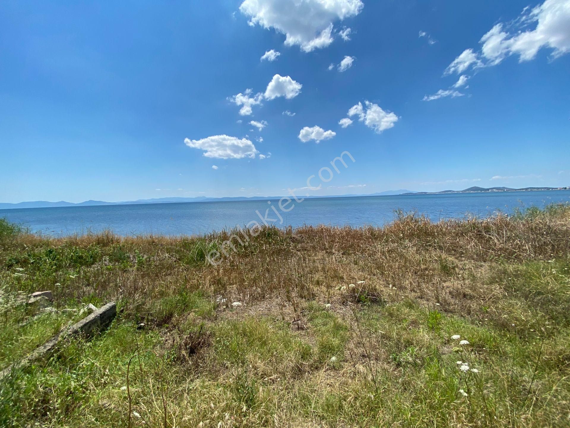 Ayvalık Sarımsaklı Da Satılık 7,200 Metre Kare İmarlı Arsa. - Görsel 7