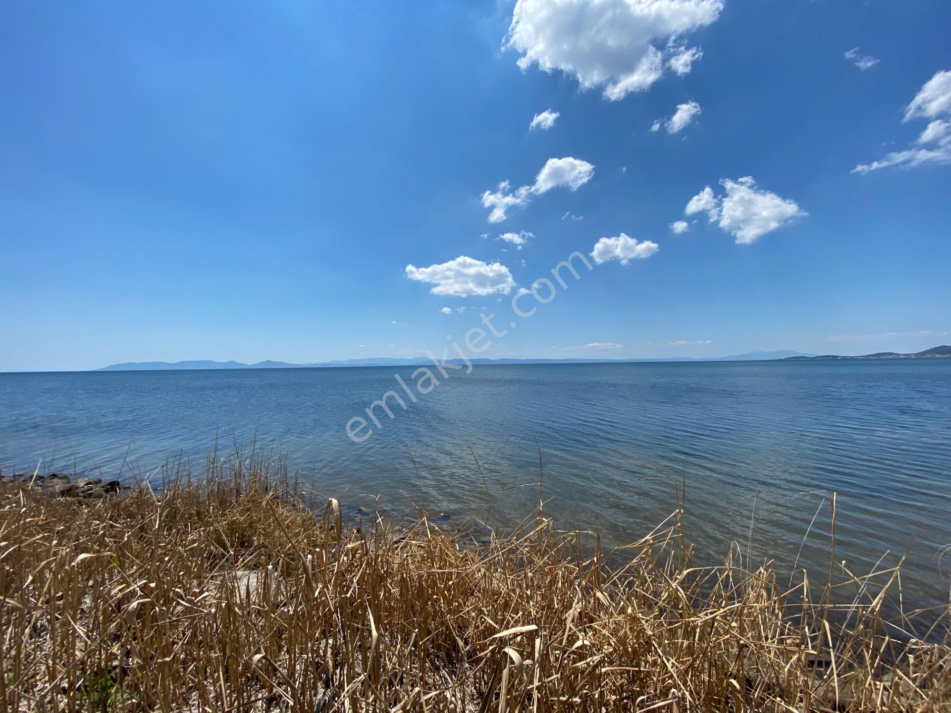 Ayvalık Sarımsaklı Da Satılık 7,200 Metre Kare İmarlı Arsa. - Görsel 8