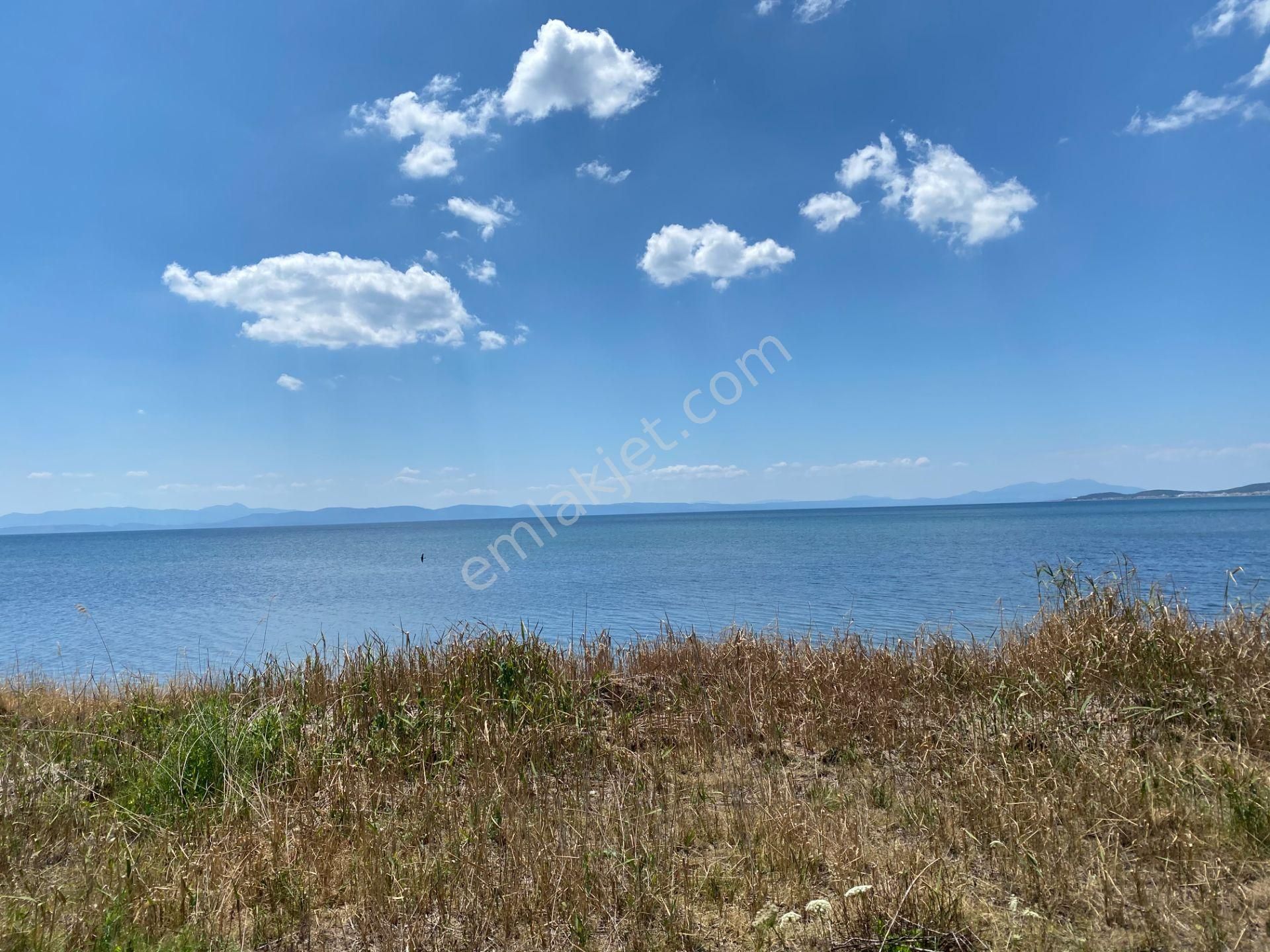 Ayvalık Sarımsaklı Da Satılık 7,200 Metre Kare İmarlı Arsa. - Görsel 11