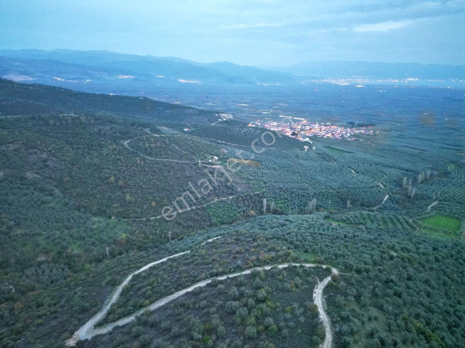 İznik Orhaniye'de (takaslı)kısmi Göl Manzaralı Yatırımlık Arazi - Görsel 20