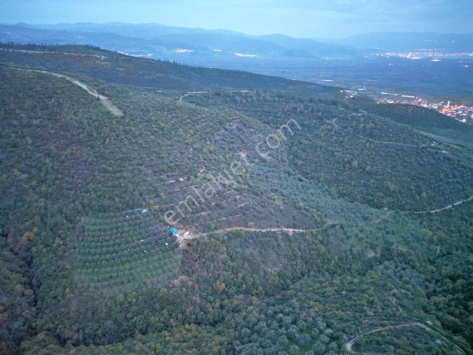 İznik Orhaniye'de (takaslı)kısmi Göl Manzaralı Yatırımlık Arazi - Görsel 17