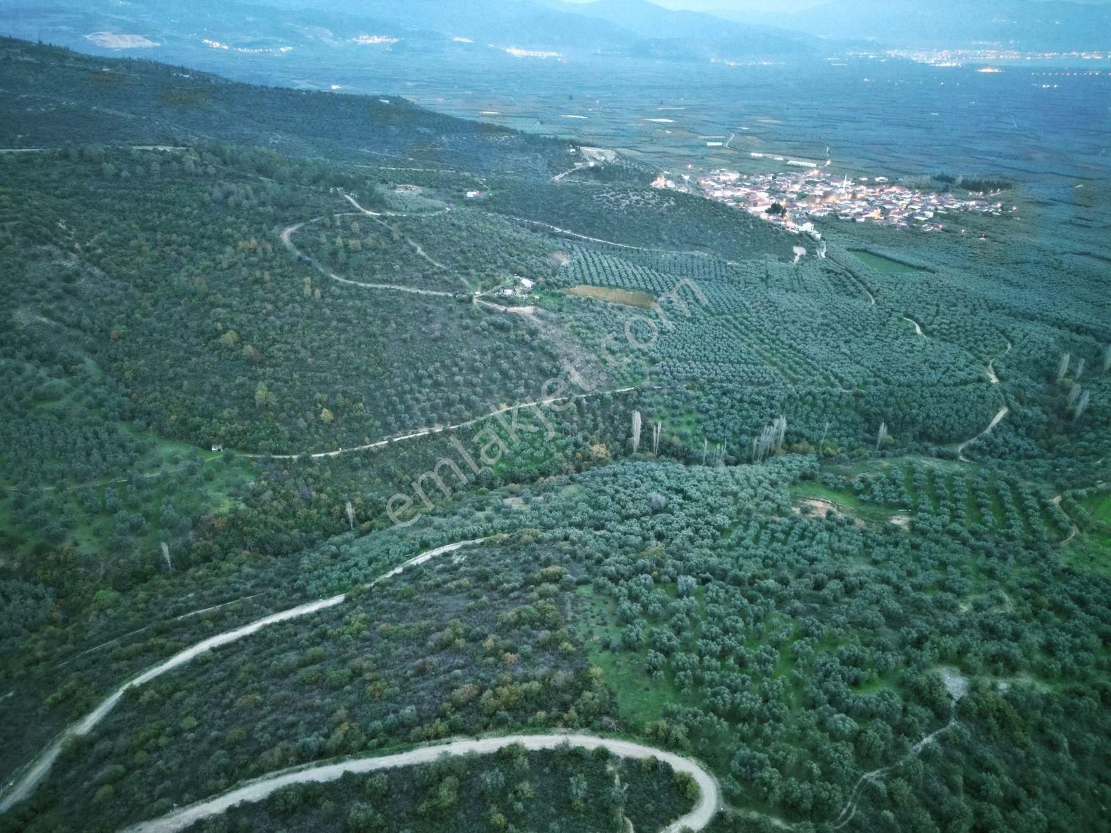 İznik Orhaniye'de (takaslı)kısmi Göl Manzaralı Yatırımlık Arazi - Görsel 7