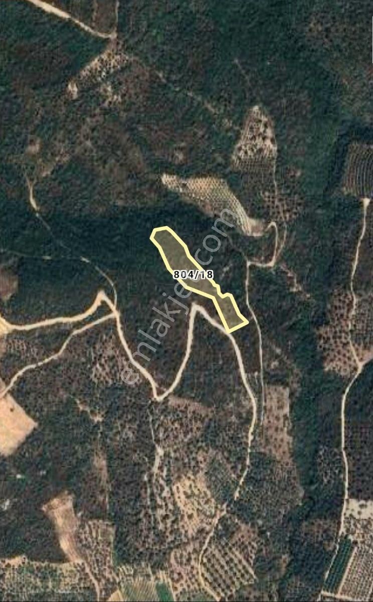 İznik Orhaniye'de (takaslı)kısmi Göl Manzaralı Yatırımlık Arazi - Görsel 13