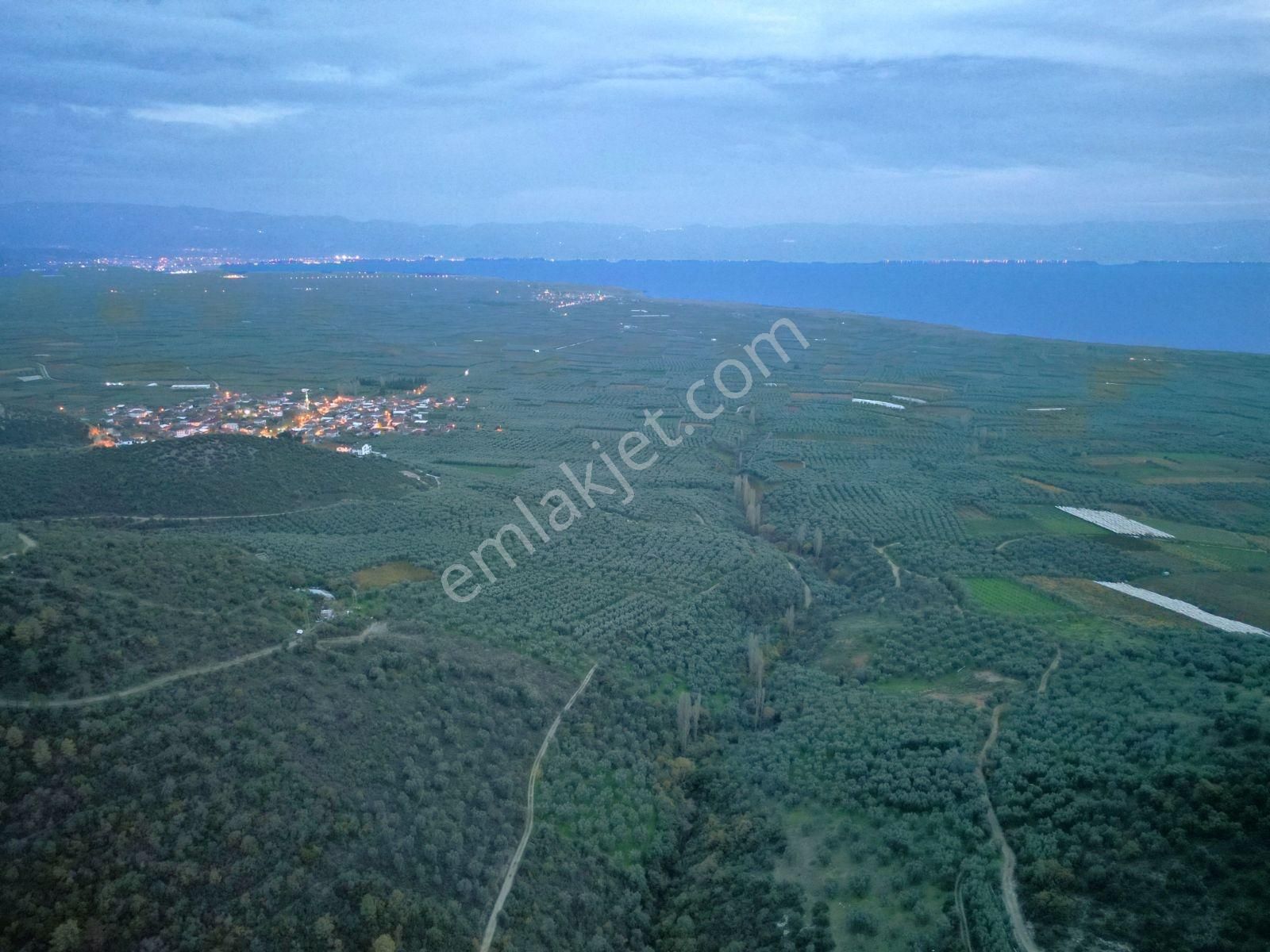 İznik Orhaniye'de (takaslı)kısmi Göl Manzaralı Yatırımlık Arazi - Görsel 21