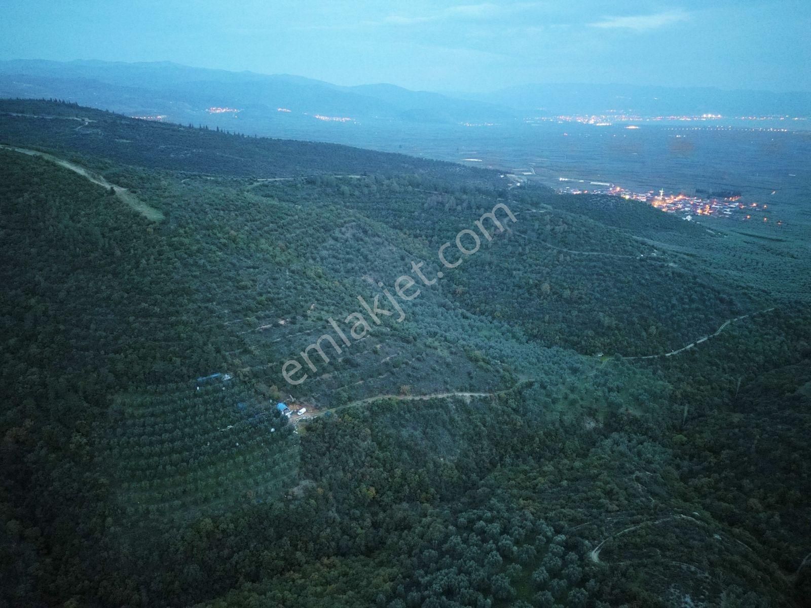 İznik Orhaniye'de (takaslı)kısmi Göl Manzaralı Yatırımlık Arazi - Görsel 9