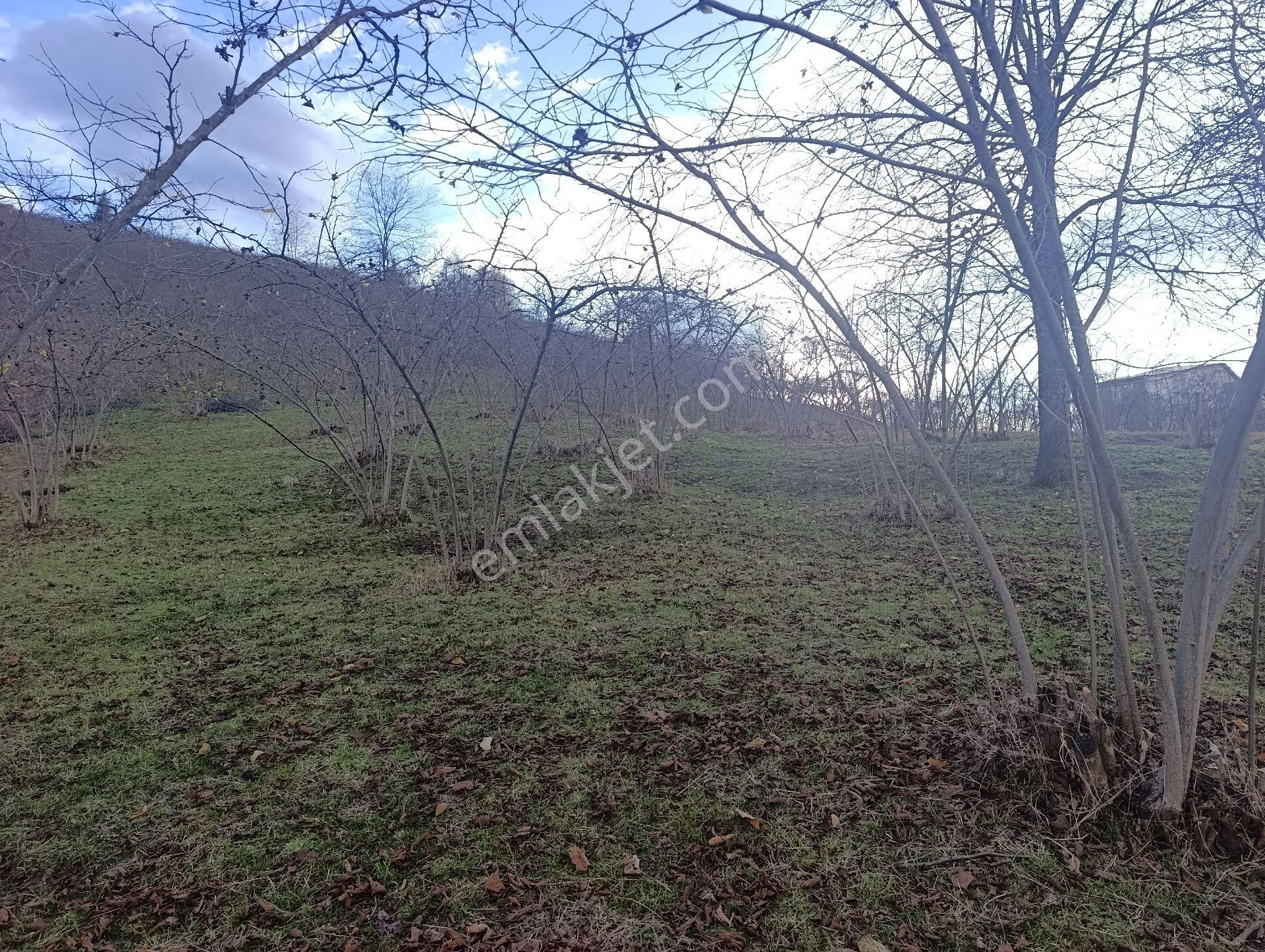 1nolu Beşirli Mahallesinde Deniz Manzaralı Satılık 3380m². Arazi - Görsel 21