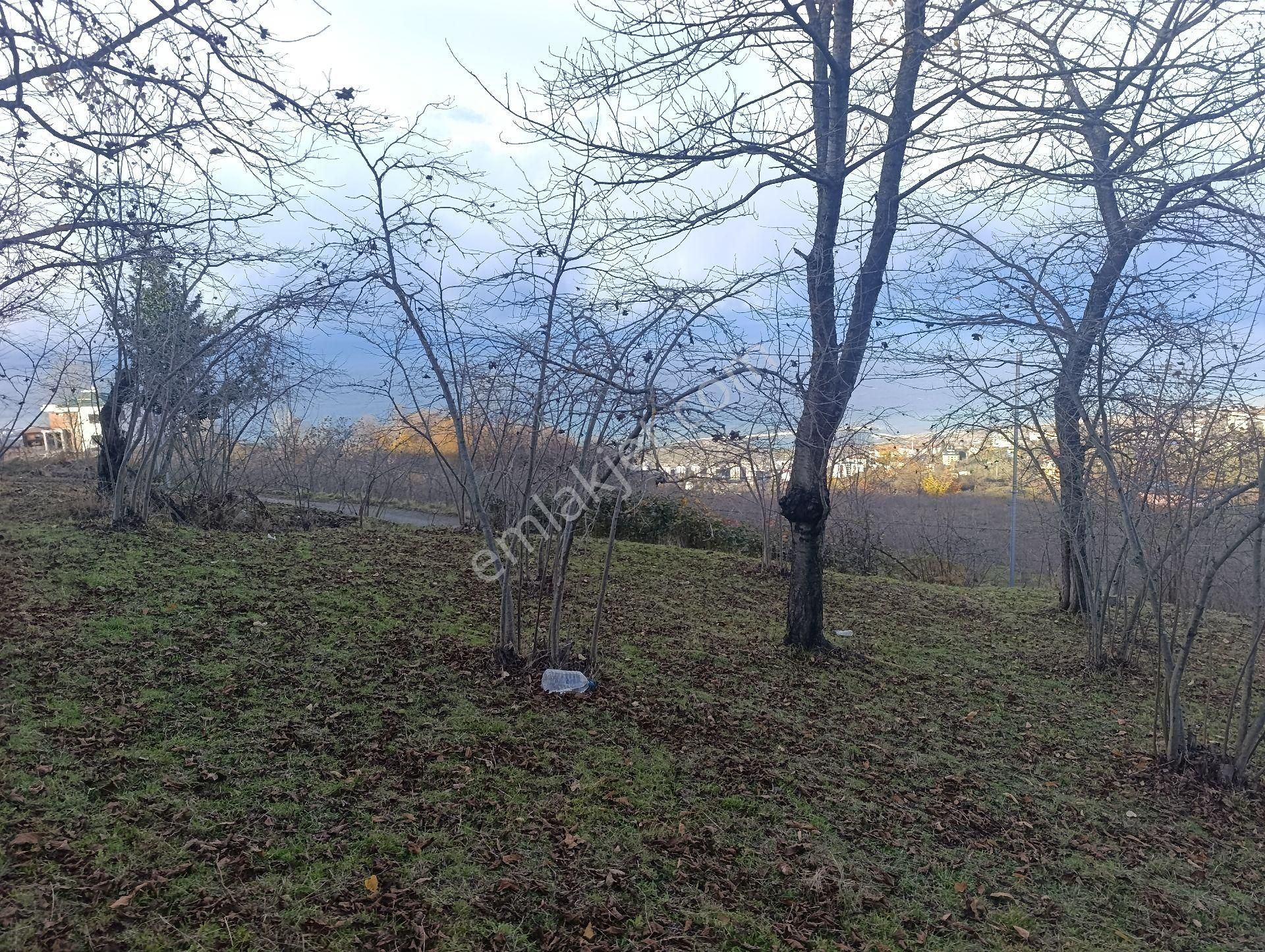1nolu Beşirli Mahallesinde Deniz Manzaralı Satılık 3380m². Arazi - Görsel 20