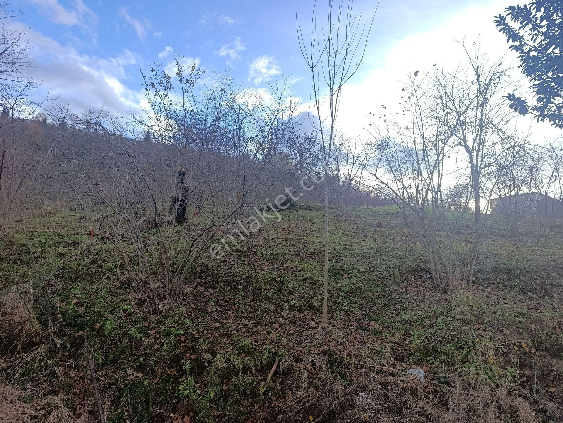 1nolu Beşirli Mahallesinde Deniz Manzaralı Satılık 3380m². Arazi - Görsel 2