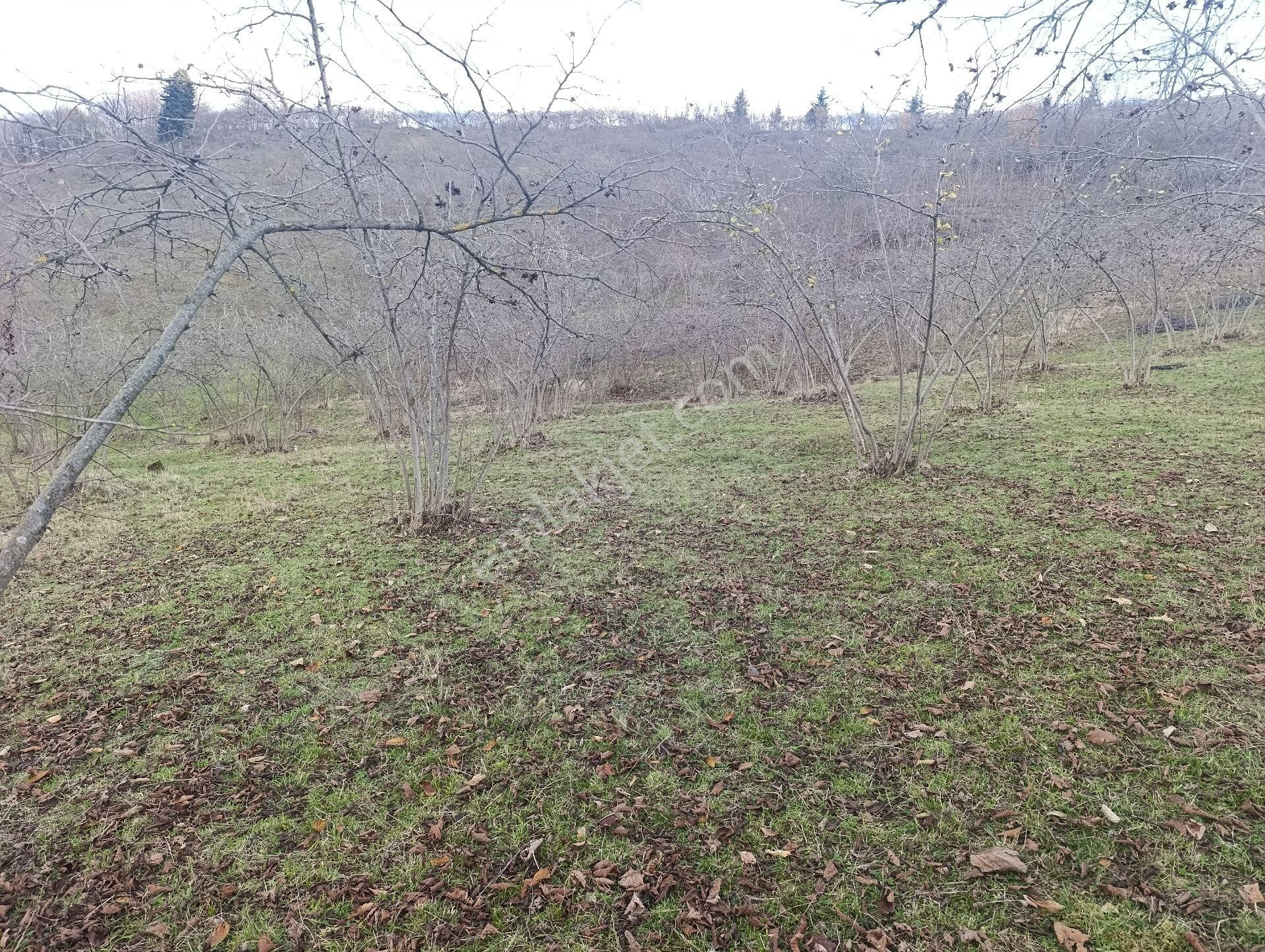 1nolu Beşirli Mahallesinde Deniz Manzaralı Satılık 3380m². Arazi - Görsel 25