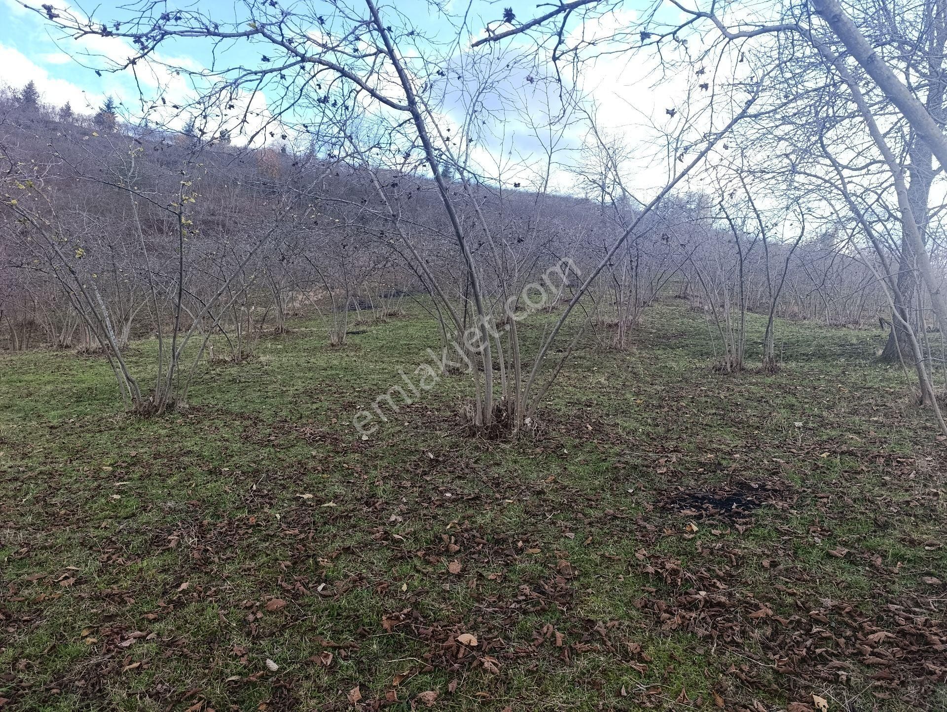 1nolu Beşirli Mahallesinde Deniz Manzaralı Satılık 3380m². Arazi - Görsel 24