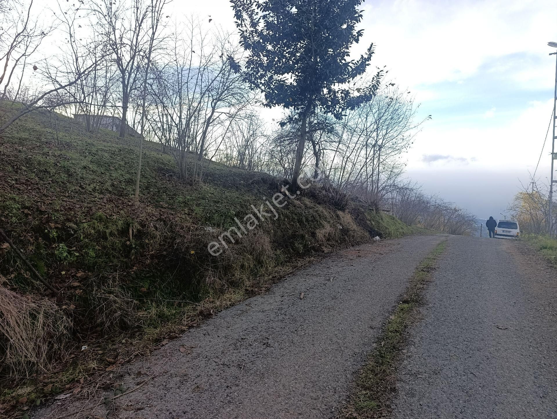1nolu Beşirli Mahallesinde Deniz Manzaralı Satılık 3380m². Arazi - Görsel 4