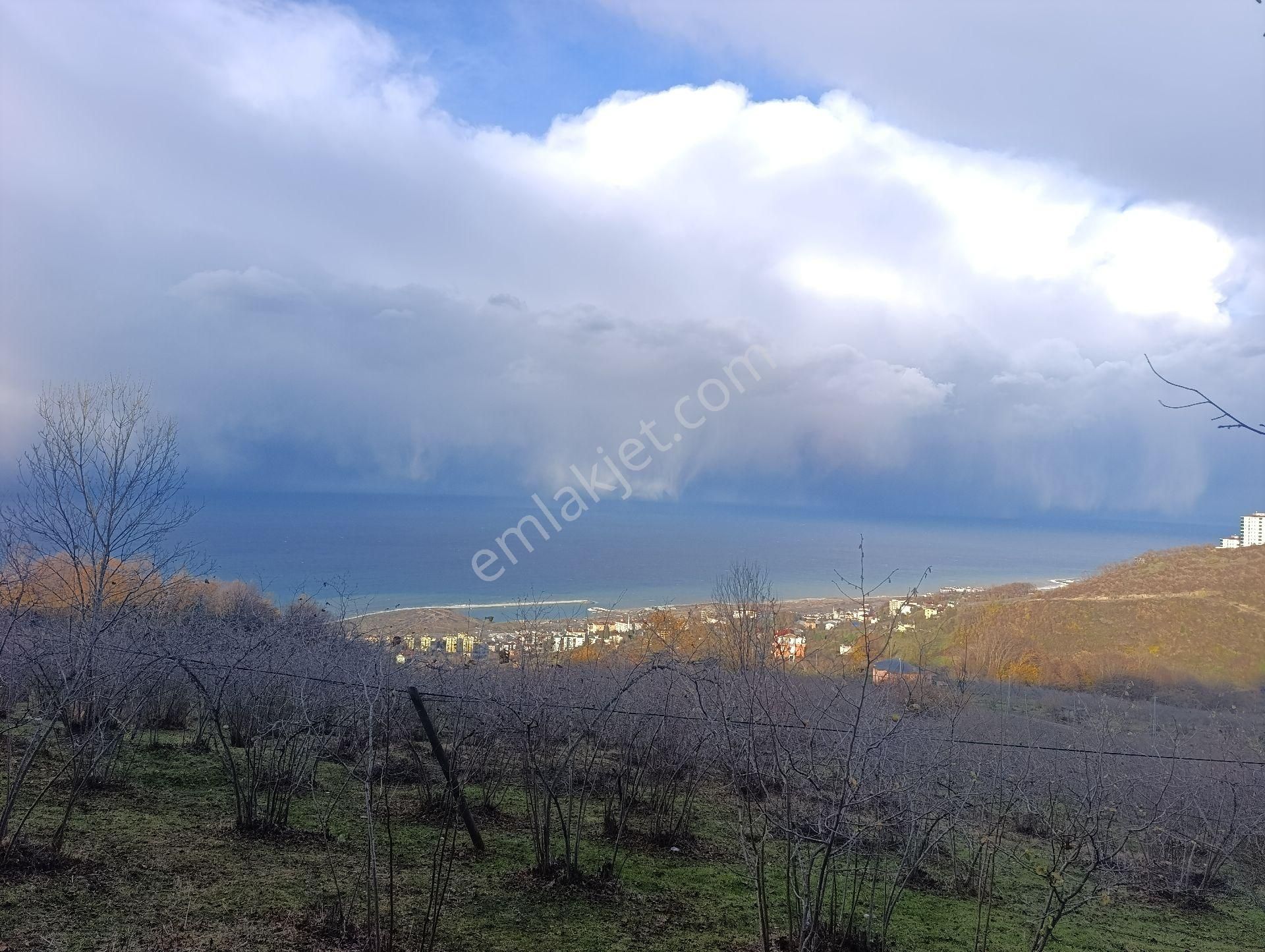 1nolu Beşirli Mahallesinde Deniz Manzaralı Satılık 3380m². Arazi
