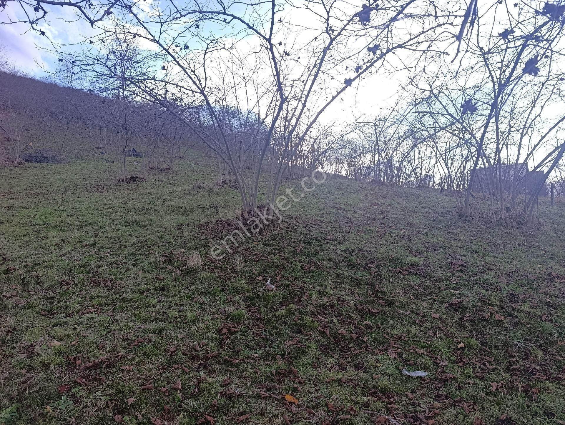 1nolu Beşirli Mahallesinde Deniz Manzaralı Satılık 3380m². Arazi - Görsel 12