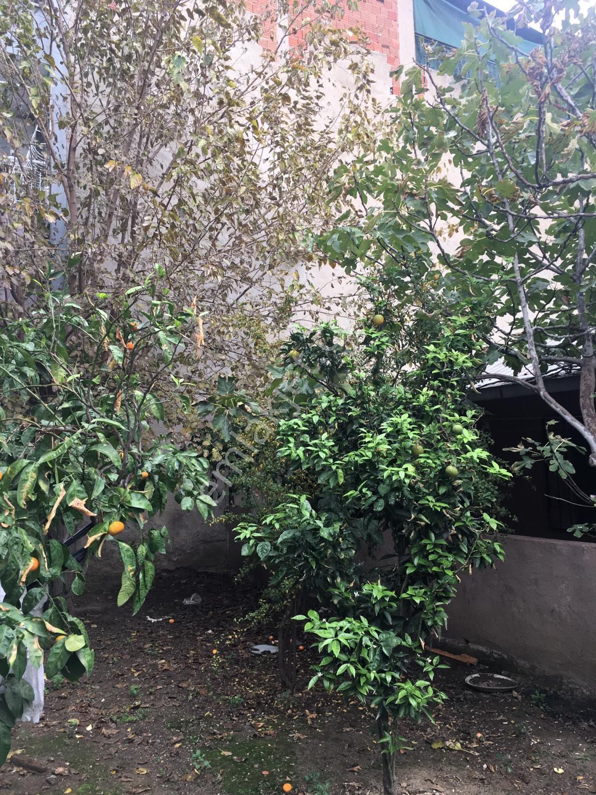 Yunusemre Mah. Meslek Lisesi Karşısında İmar Planı İçerisinde Müstakil Bahçeli Ev !! - Görsel 8