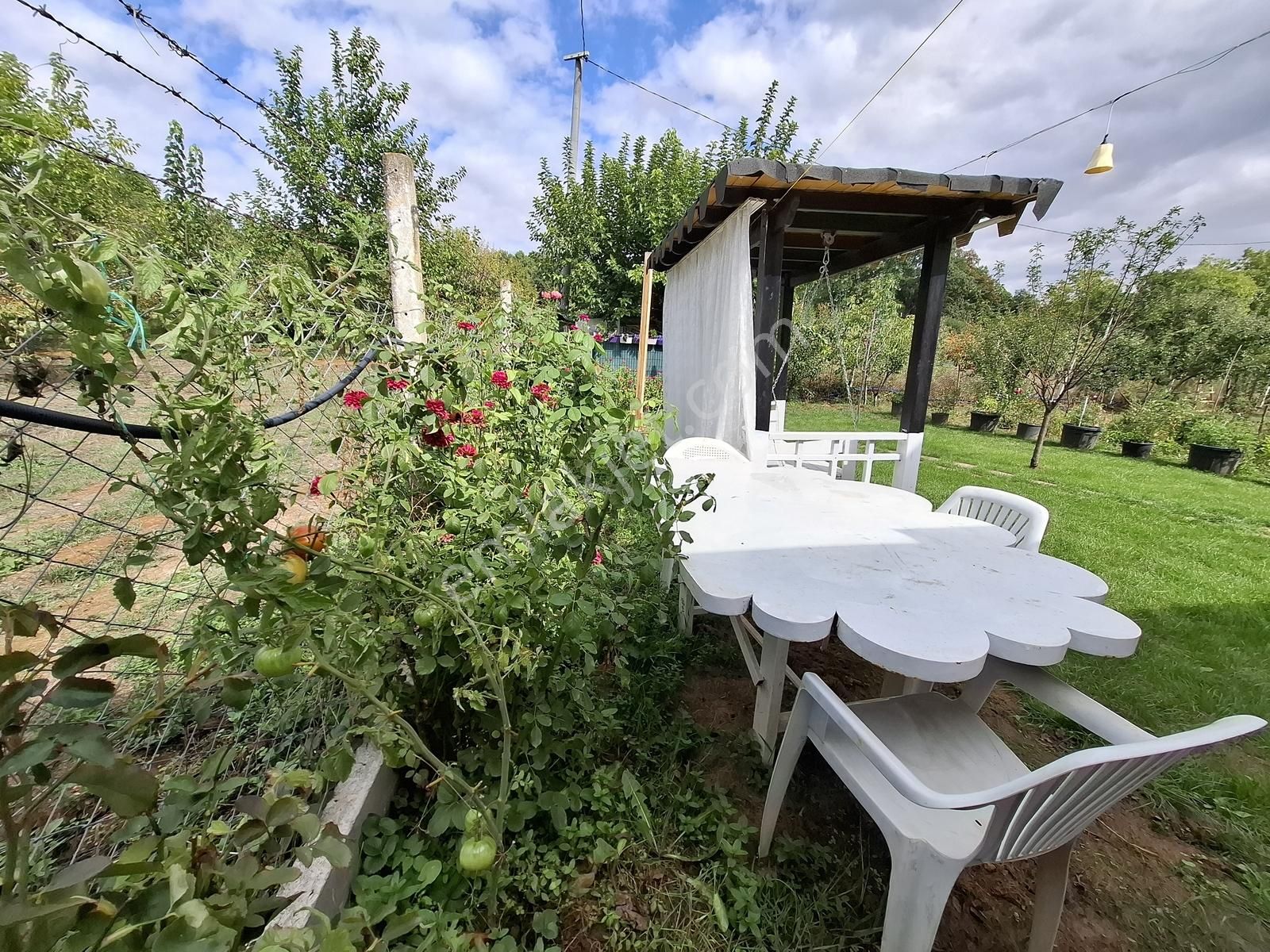 Remax Leon Kestel Kozluören'de Müstakil Tapulu Bahçeli Ev - Görsel 14