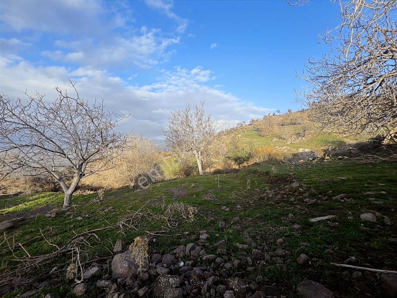 Havran Kocadağda Kaçırılmayacak Fırsat,su Yanı,manzaralı Bahçe - Görsel 22