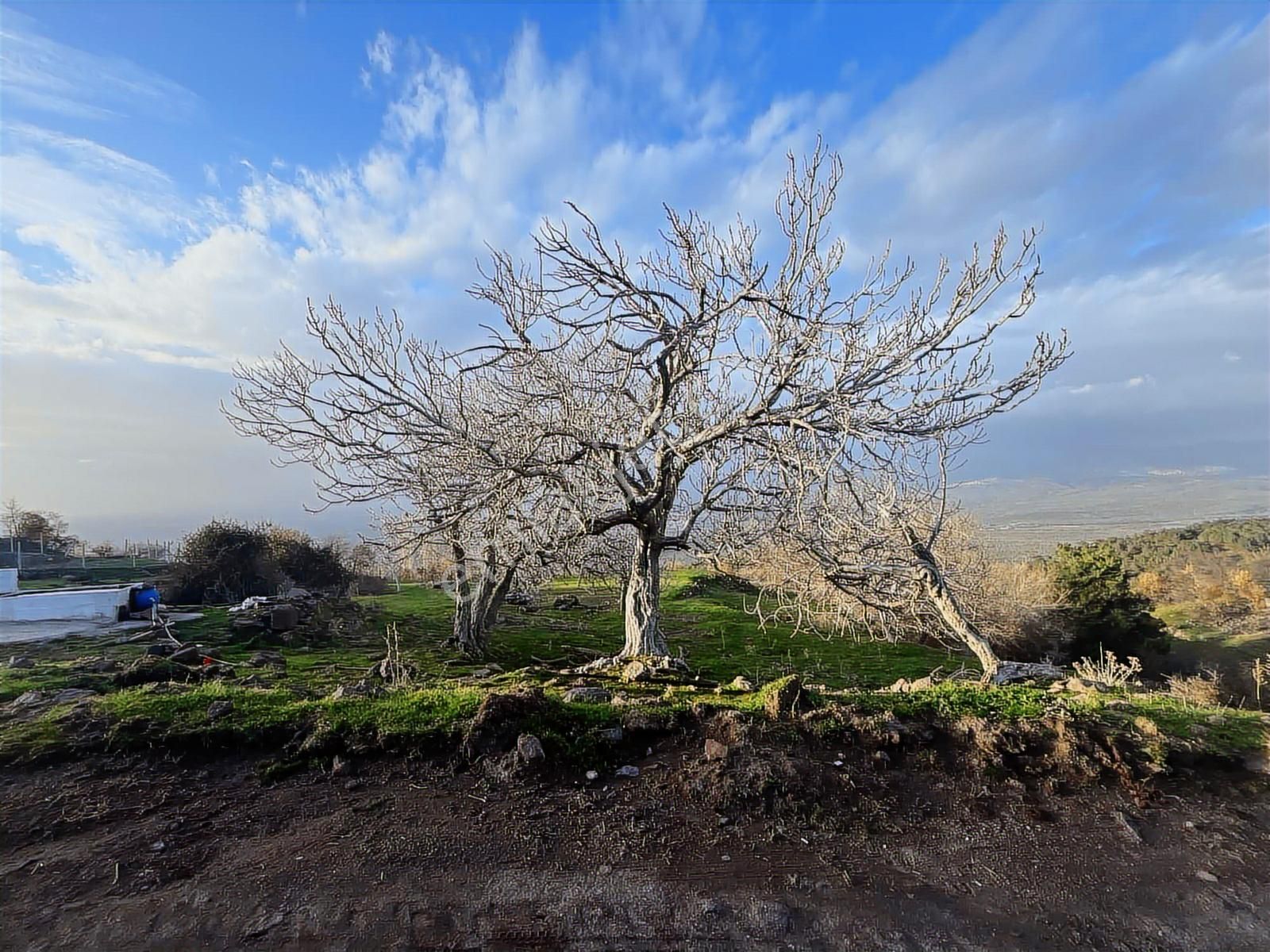 Havran Kocadağda Kaçırılmayacak Fırsat,su Yanı,manzaralı Bahçe - Görsel 7