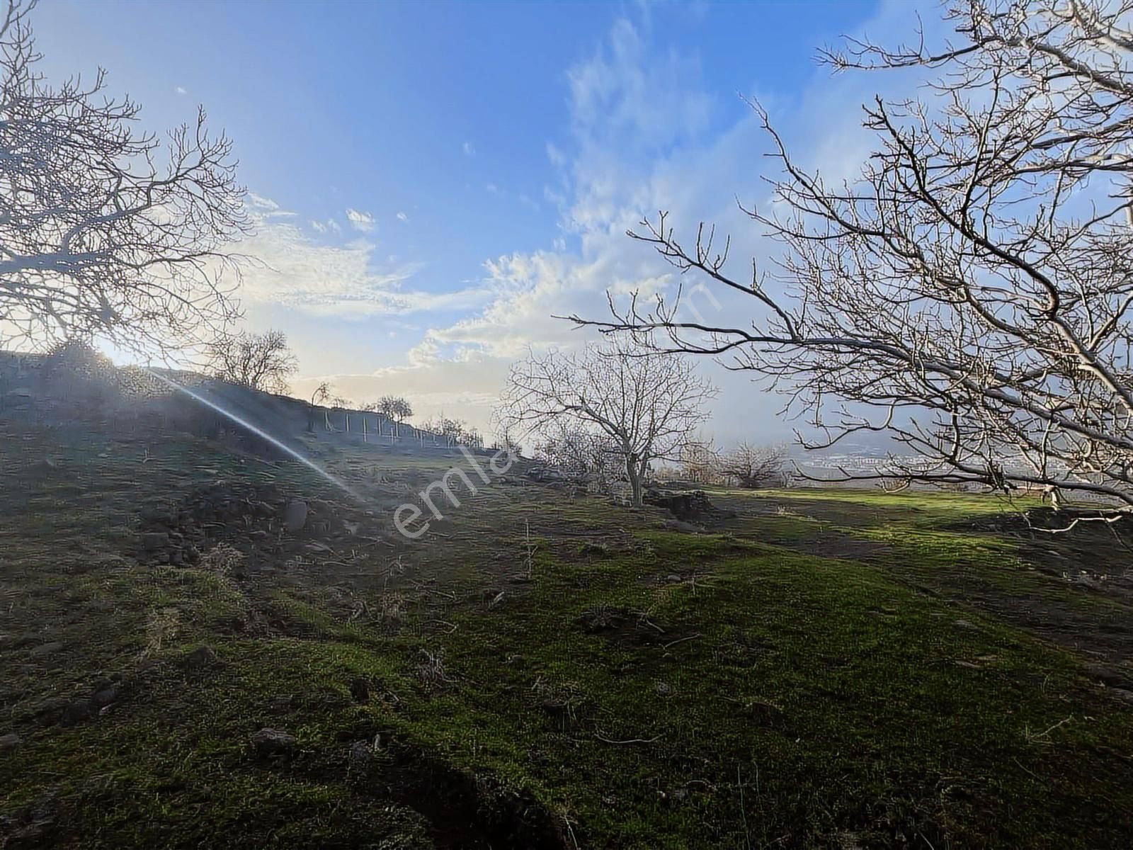 Havran Kocadağda Kaçırılmayacak Fırsat,su Yanı,manzaralı Bahçe - Görsel 20