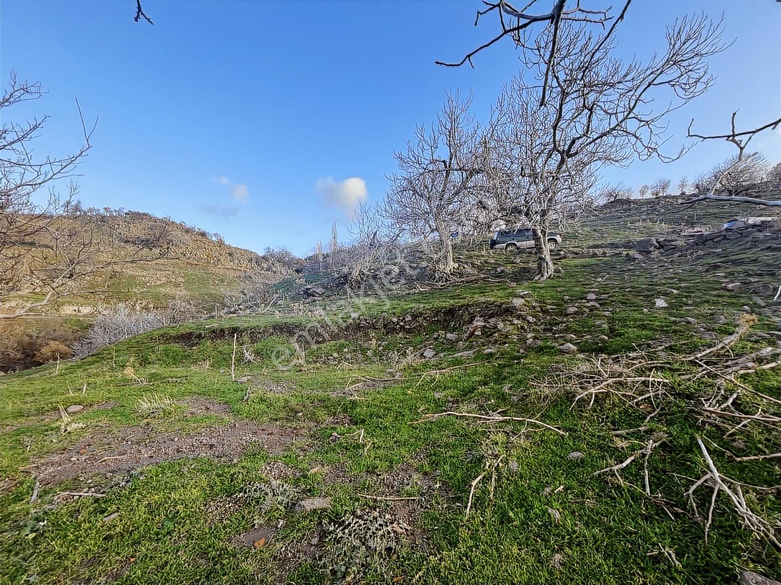 Havran Kocadağda Kaçırılmayacak Fırsat,su Yanı,manzaralı Bahçe - Görsel 4