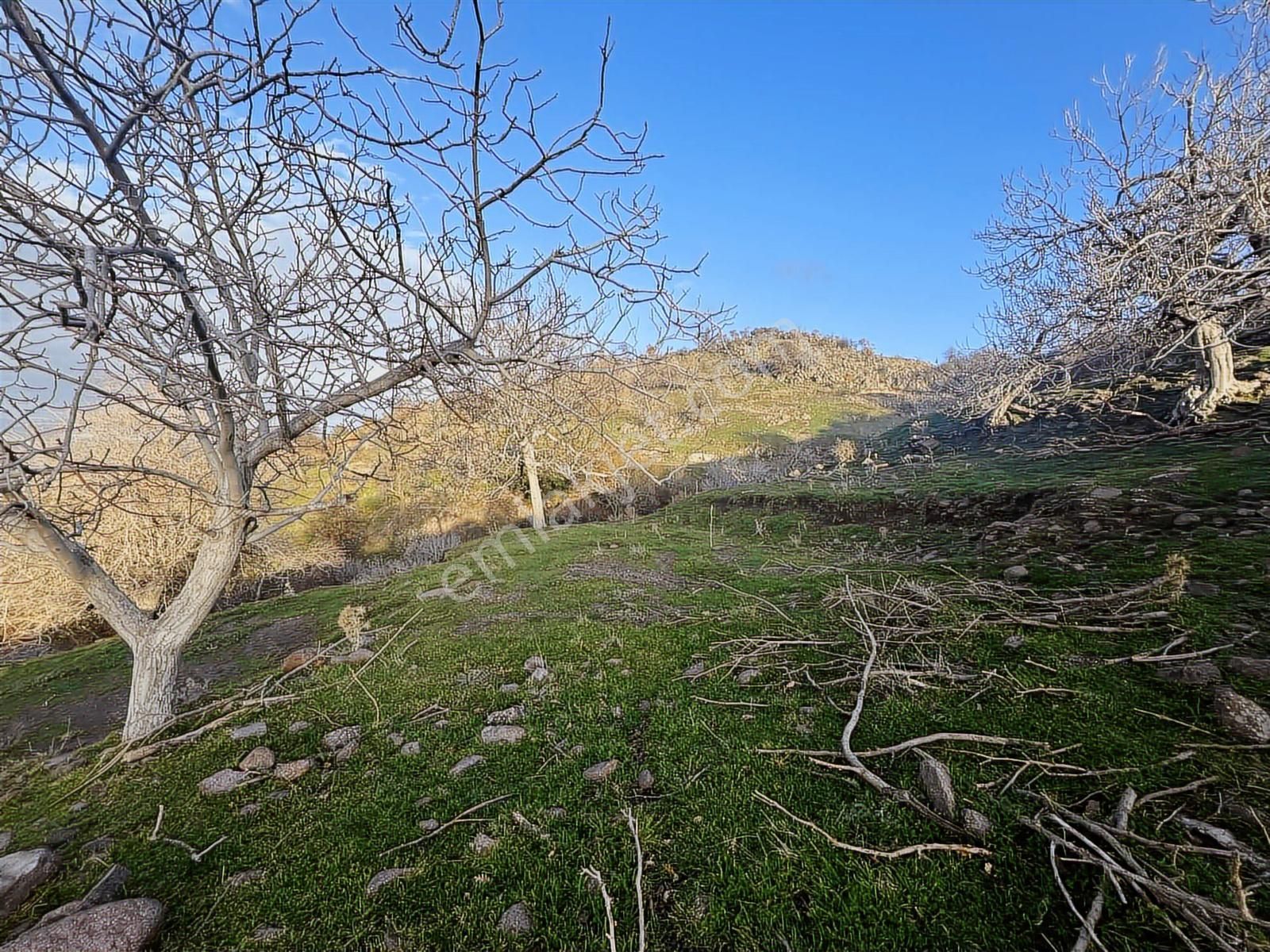 Havran Kocadağda Kaçırılmayacak Fırsat,su Yanı,manzaralı Bahçe - Görsel 15