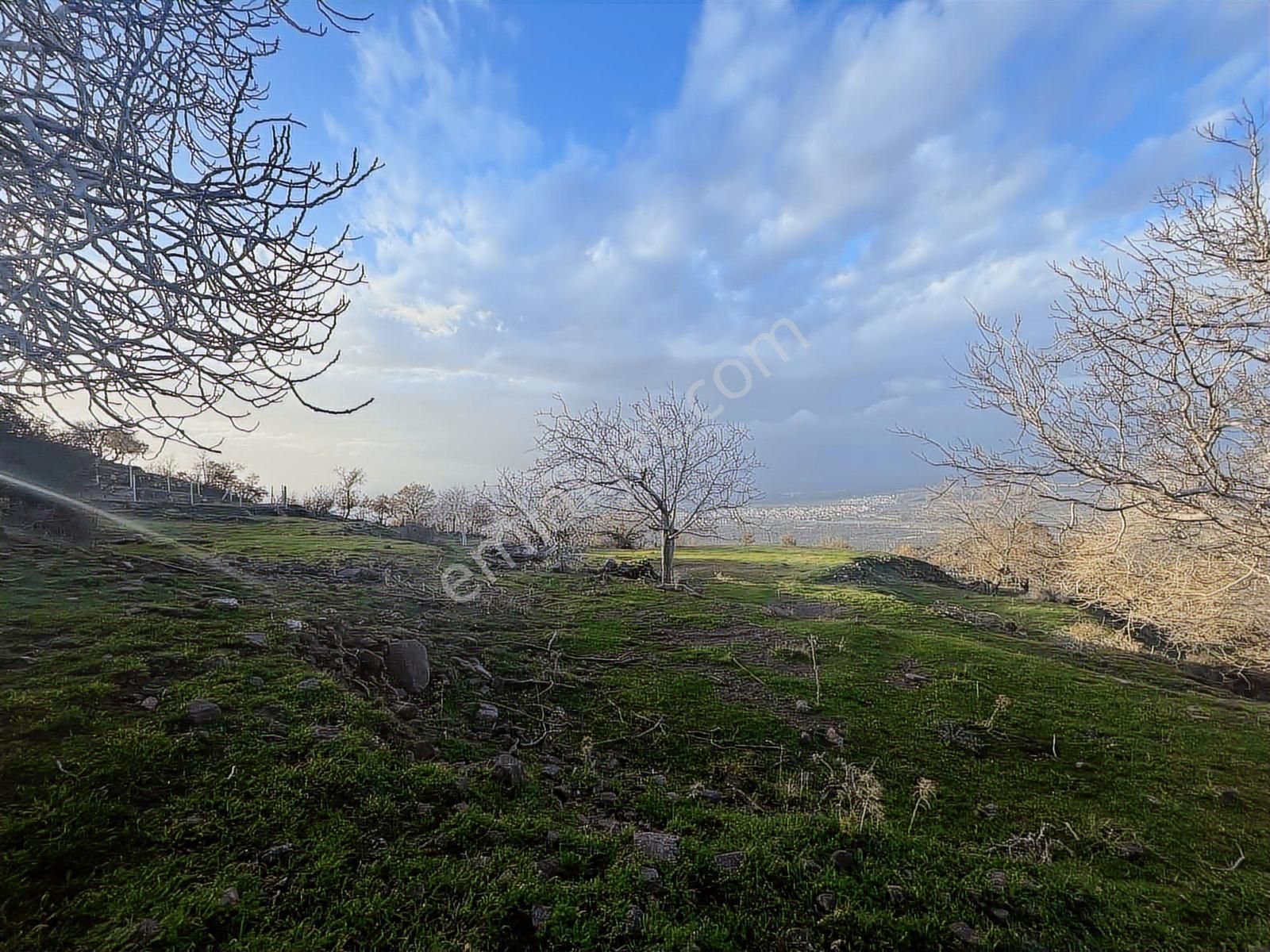 Havran Kocadağda Kaçırılmayacak Fırsat,su Yanı,manzaralı Bahçe - Görsel 6