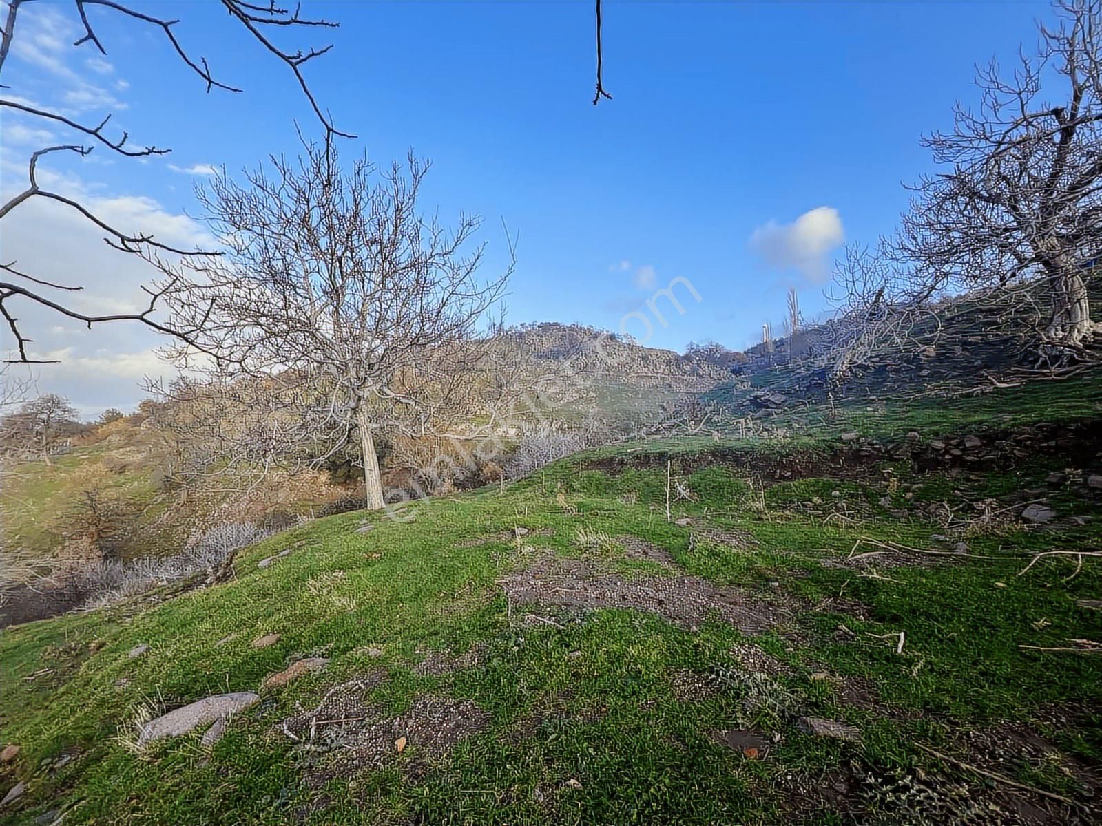 Havran Kocadağda Kaçırılmayacak Fırsat,su Yanı,manzaralı Bahçe - Görsel 18