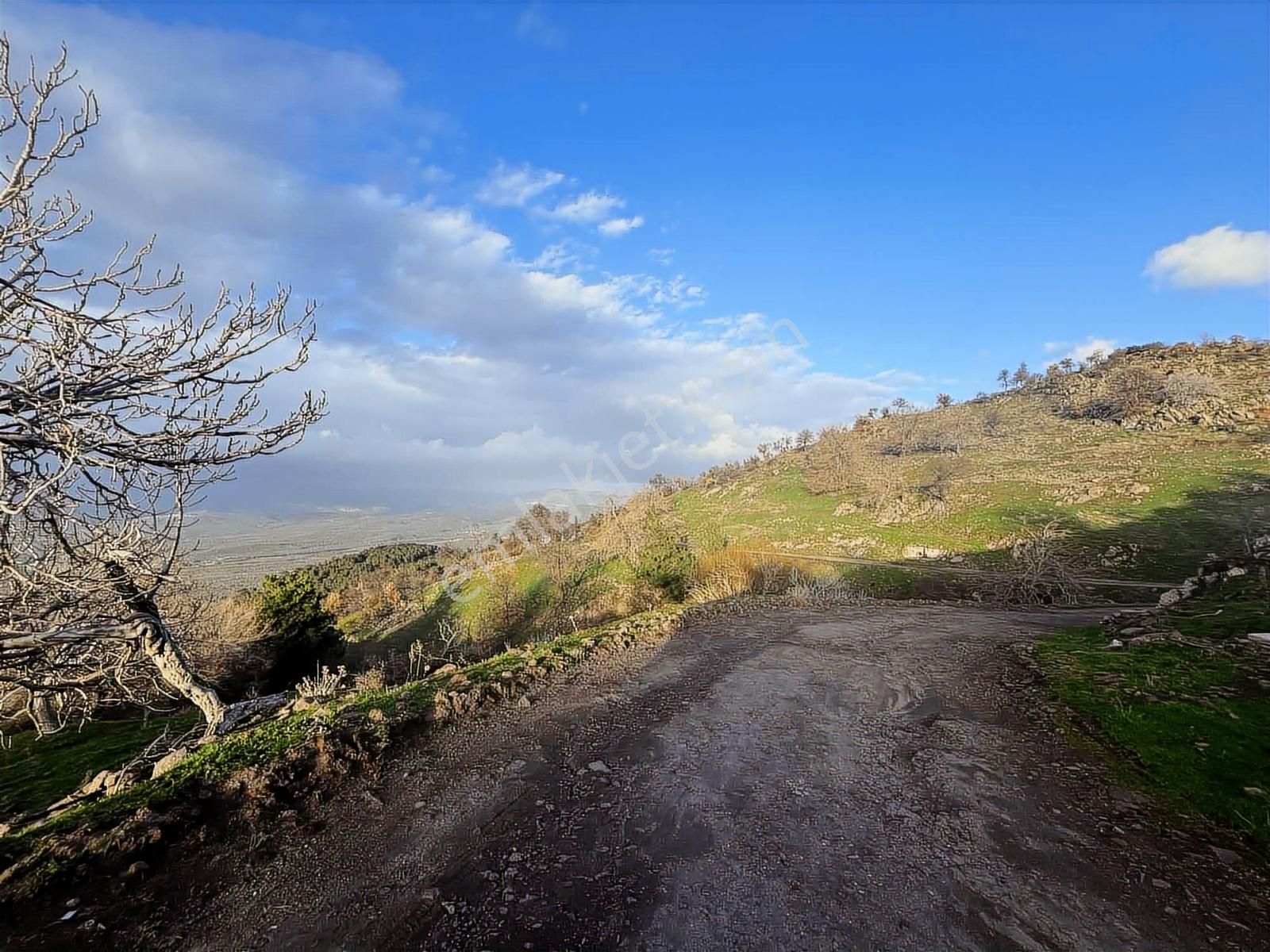 Havran Kocadağda Kaçırılmayacak Fırsat,su Yanı,manzaralı Bahçe - Görsel 8