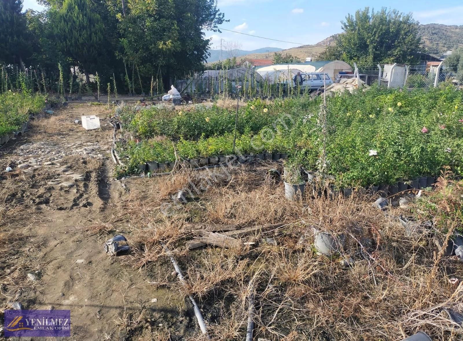 Bayındır Buruncuk Arsa - Görsel 7