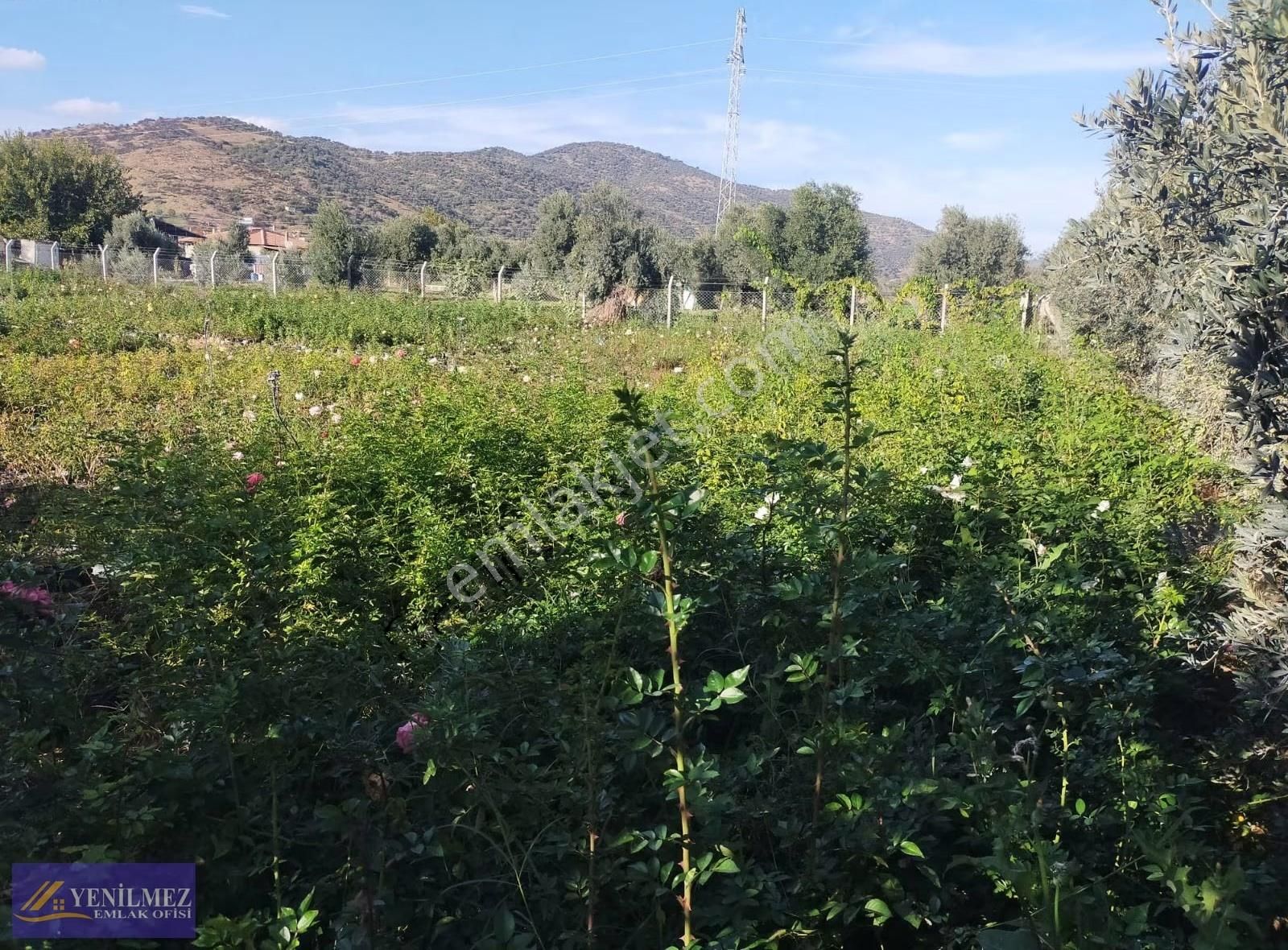 Bayındır Buruncuk Arsa - Görsel 9