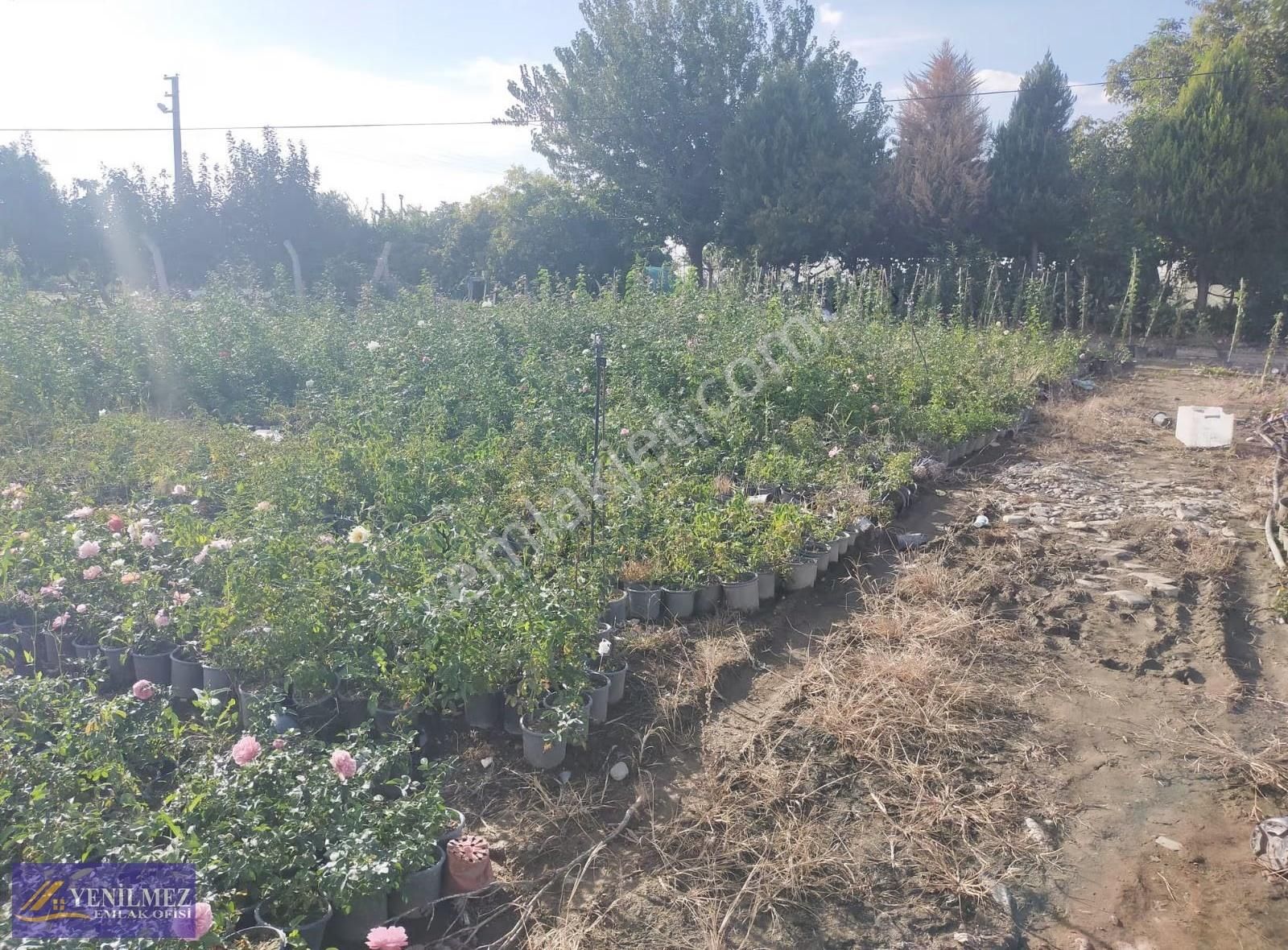 Bayındır Buruncuk Arsa - Görsel 12