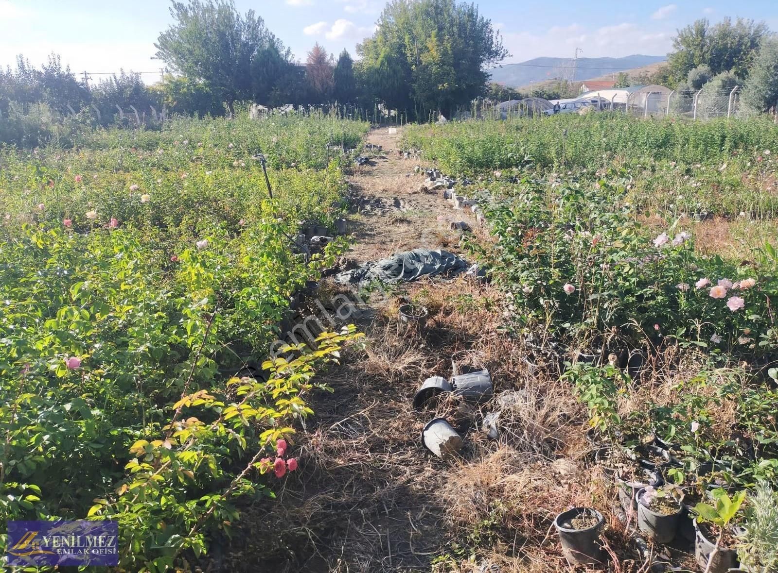 Bayındır Buruncuk Arsa - Görsel 4