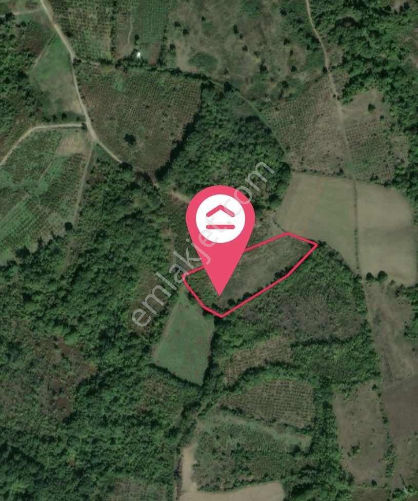 Yön Group'tan Hendek'te İmar Planına Yakın 9646m2 Tarla - Görsel 3